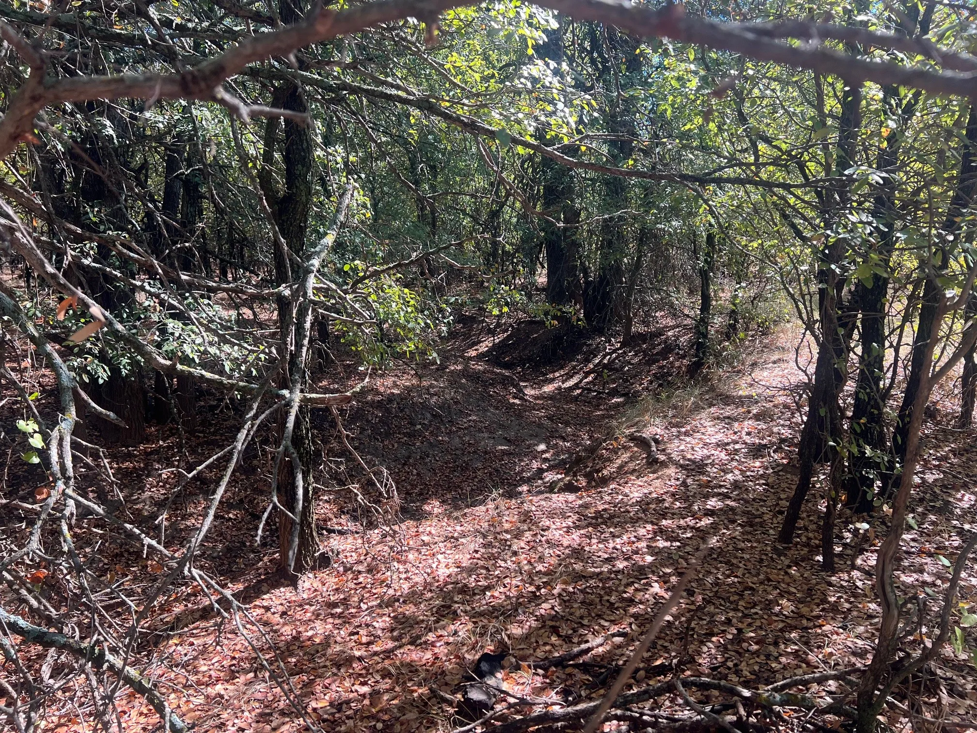 Unimproved Land For Sale in Young County , TBD Uselton Road, Loving, Texas 76460, 0, 0, Garage spaces, 0 Sqft, built in 0, mls#21090278, Real Estate Agent in Loving, Homes For Sale in Young county, Homes For Sale in Loving, Realtor in Loving Texas, Real Estate Brokerage Independent Realty Texas, Luminita Cordes Realtor