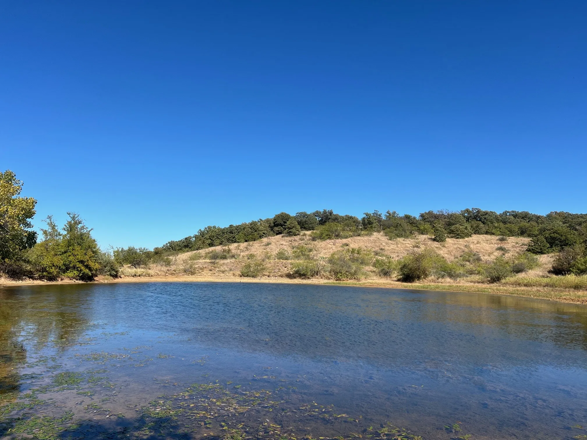 Unimproved Land For Sale in Young County , TBD Uselton Road, Loving, Texas 76460, 0, 0, Garage spaces, 0 Sqft, built in 0, mls#21090278, Real Estate Agent in Loving, Homes For Sale in Young county, Homes For Sale in Loving, Realtor in Loving Texas, Real Estate Brokerage Independent Realty Texas, Luminita Cordes Realtor