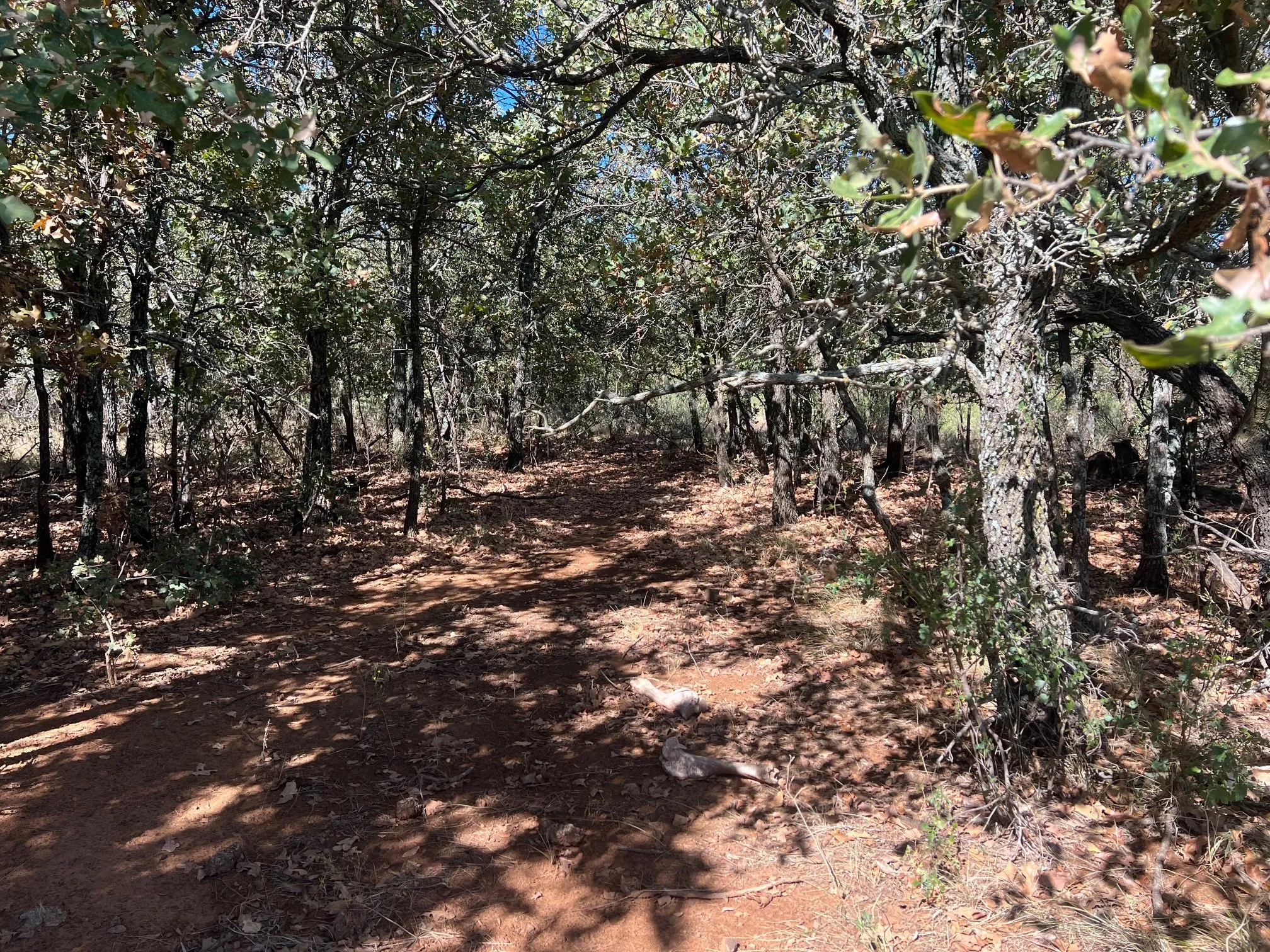 Unimproved Land For Sale in Young County , TBD Uselton Road, Loving, Texas 76460, 0, 0, Garage spaces, 0 Sqft, built in 0, mls#21090278, Real Estate Agent in Loving, Homes For Sale in Young county, Homes For Sale in Loving, Realtor in Loving Texas, Real Estate Brokerage Independent Realty Texas, Luminita Cordes Realtor
