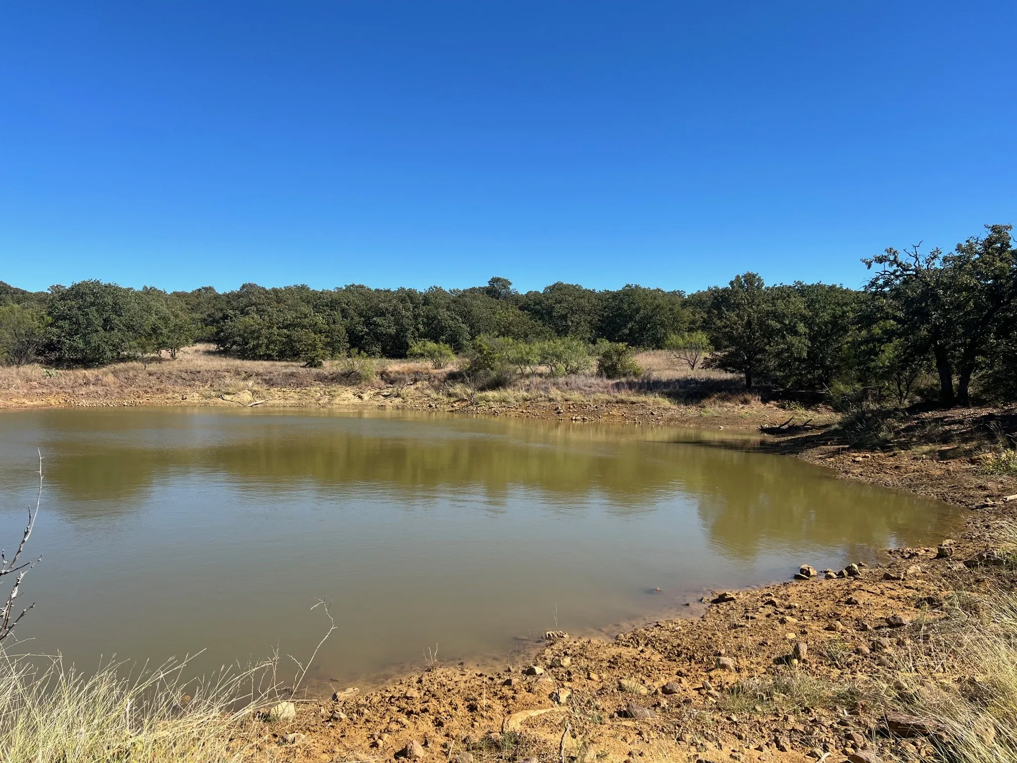Unimproved Land For Sale in Young County , TBD Uselton Road, Loving, Texas 76460, 0, 0, Garage spaces, 0 Sqft, built in 0, mls#21090278, Real Estate Agent in Loving, Homes For Sale in Young county, Homes For Sale in Loving, Realtor in Loving Texas, Real Estate Brokerage Independent Realty Texas, Luminita Cordes Realtor