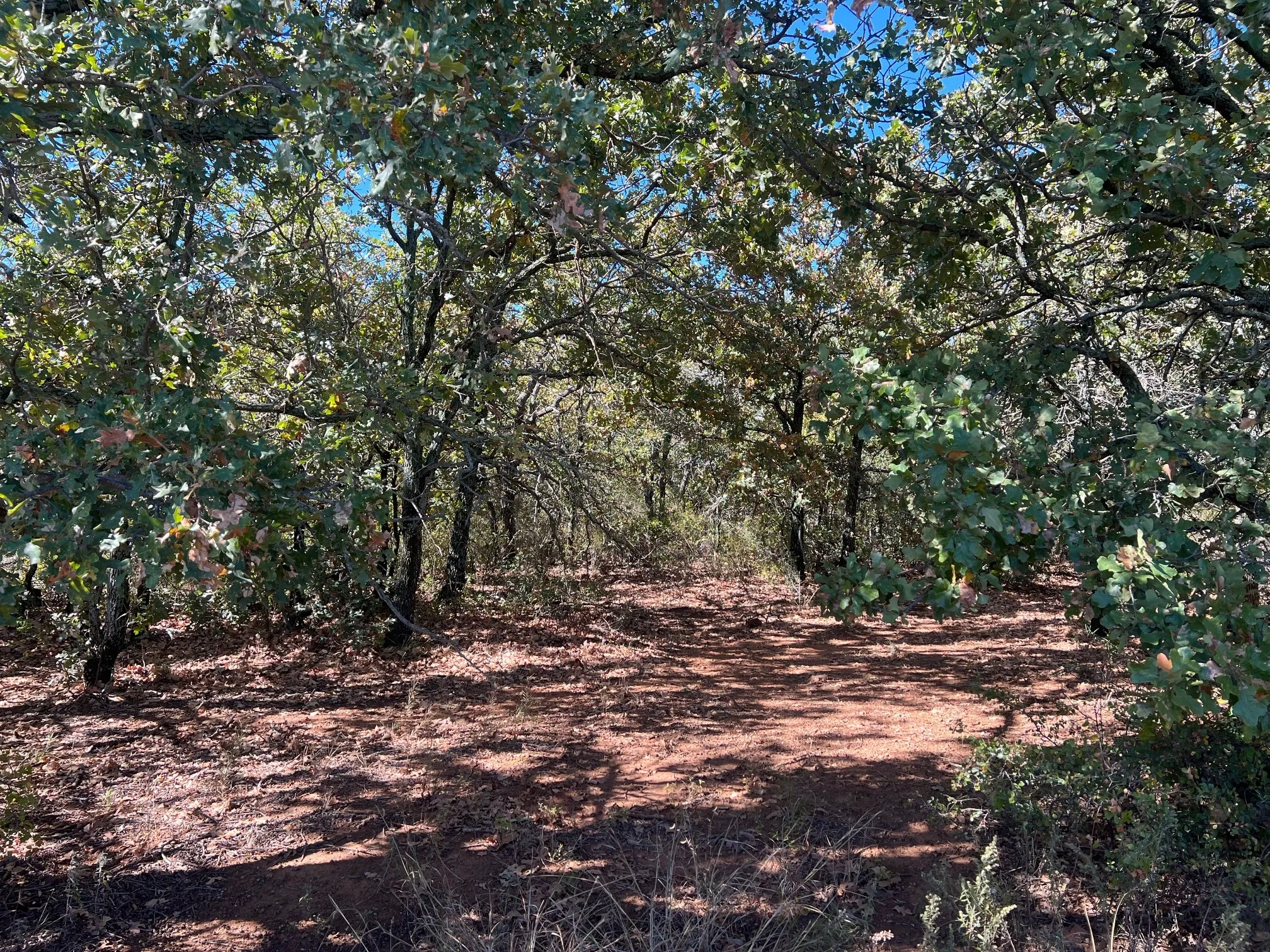Unimproved Land For Sale in Young County , TBD Uselton Road, Loving, Texas 76460, 0, 0, Garage spaces, 0 Sqft, built in 0, mls#21090278, Real Estate Agent in Loving, Homes For Sale in Young county, Homes For Sale in Loving, Realtor in Loving Texas, Real Estate Brokerage Independent Realty Texas, Luminita Cordes Realtor