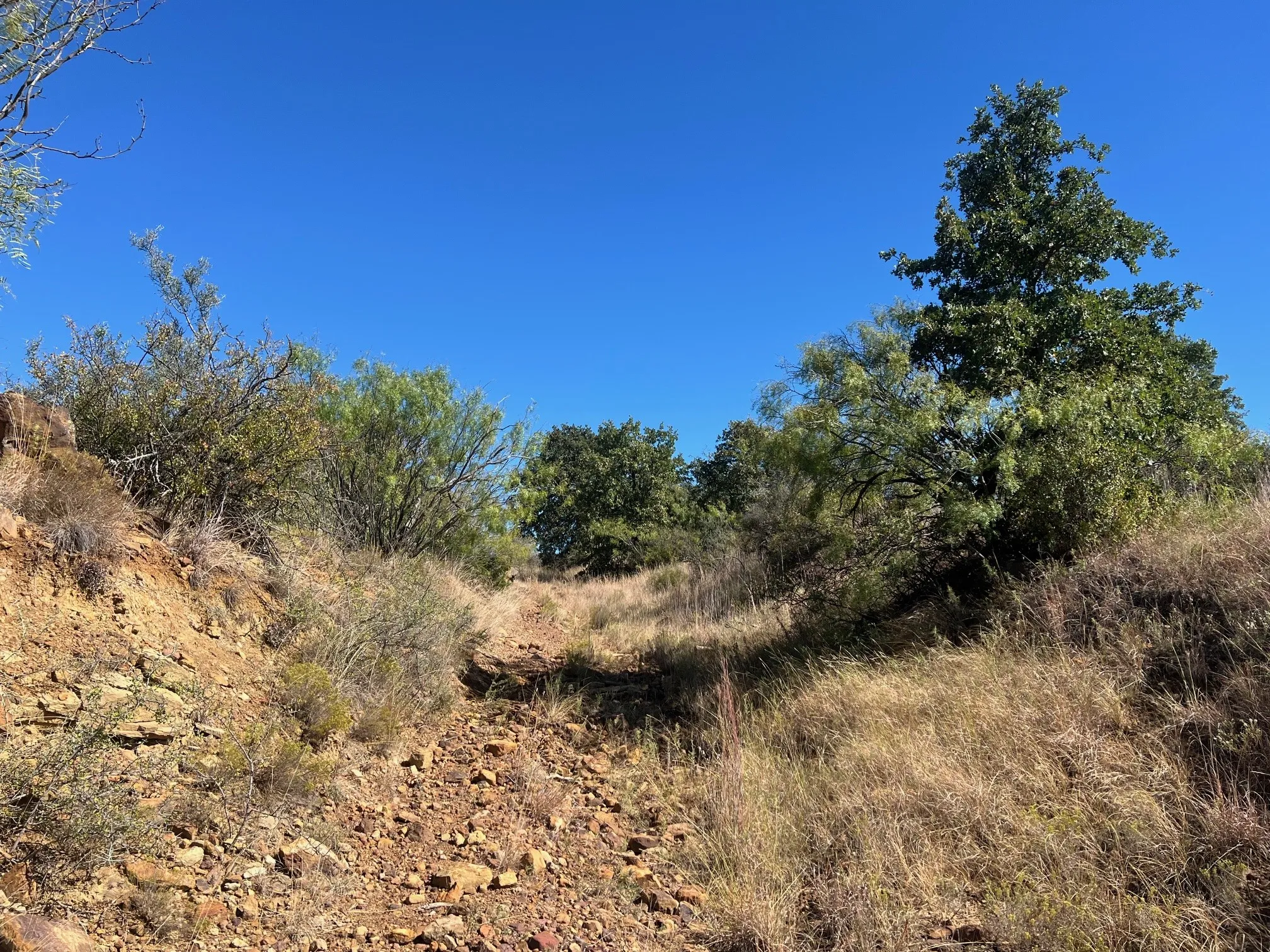 Unimproved Land For Sale in Young County , TBD Uselton Road, Loving, Texas 76460, 0, 0, Garage spaces, 0 Sqft, built in 0, mls#21090278, Real Estate Agent in Loving, Homes For Sale in Young county, Homes For Sale in Loving, Realtor in Loving Texas, Real Estate Brokerage Independent Realty Texas, Luminita Cordes Realtor