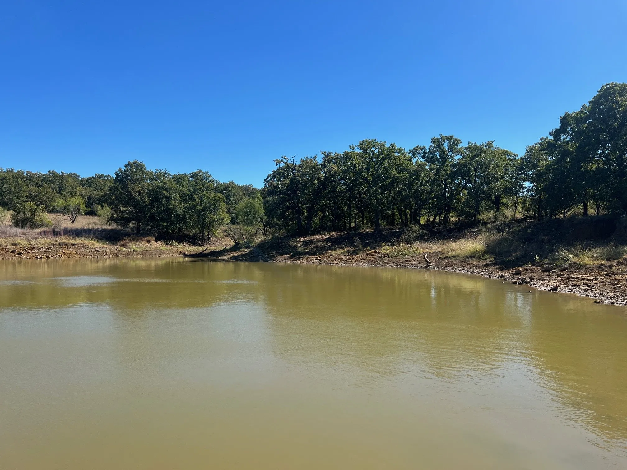 Unimproved Land For Sale in Young County , TBD Uselton Road, Loving, Texas 76460, 0, 0, Garage spaces, 0 Sqft, built in 0, mls#21090278, Real Estate Agent in Loving, Homes For Sale in Young county, Homes For Sale in Loving, Realtor in Loving Texas, Real Estate Brokerage Independent Realty Texas, Luminita Cordes Realtor