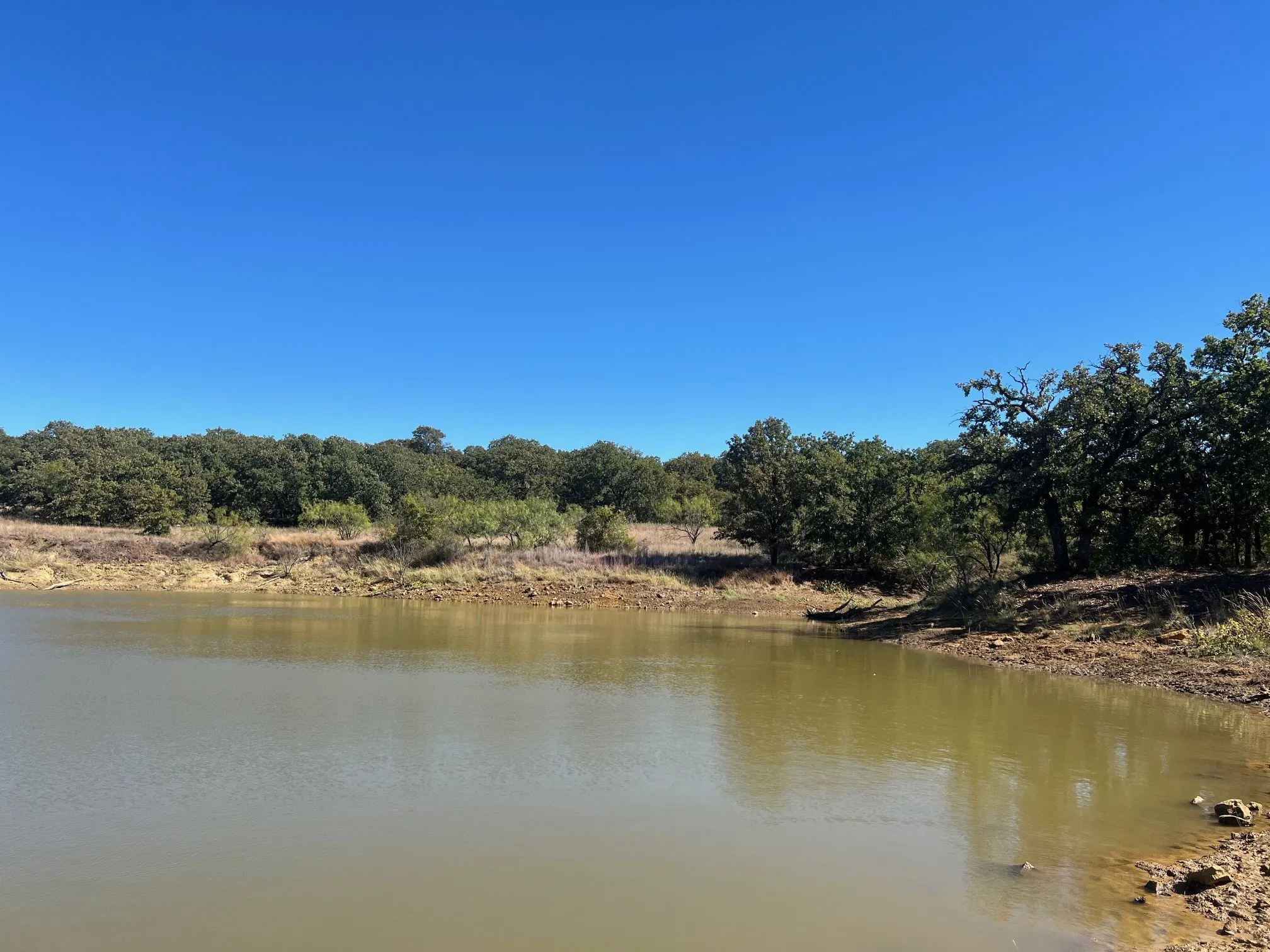 Unimproved Land For Sale in Young County , TBD Uselton Road, Loving, Texas 76460, 0, 0, Garage spaces, 0 Sqft, built in 0, mls#21090278, Real Estate Agent in Loving, Homes For Sale in Young county, Homes For Sale in Loving, Realtor in Loving Texas, Real Estate Brokerage Independent Realty Texas, Luminita Cordes Realtor
