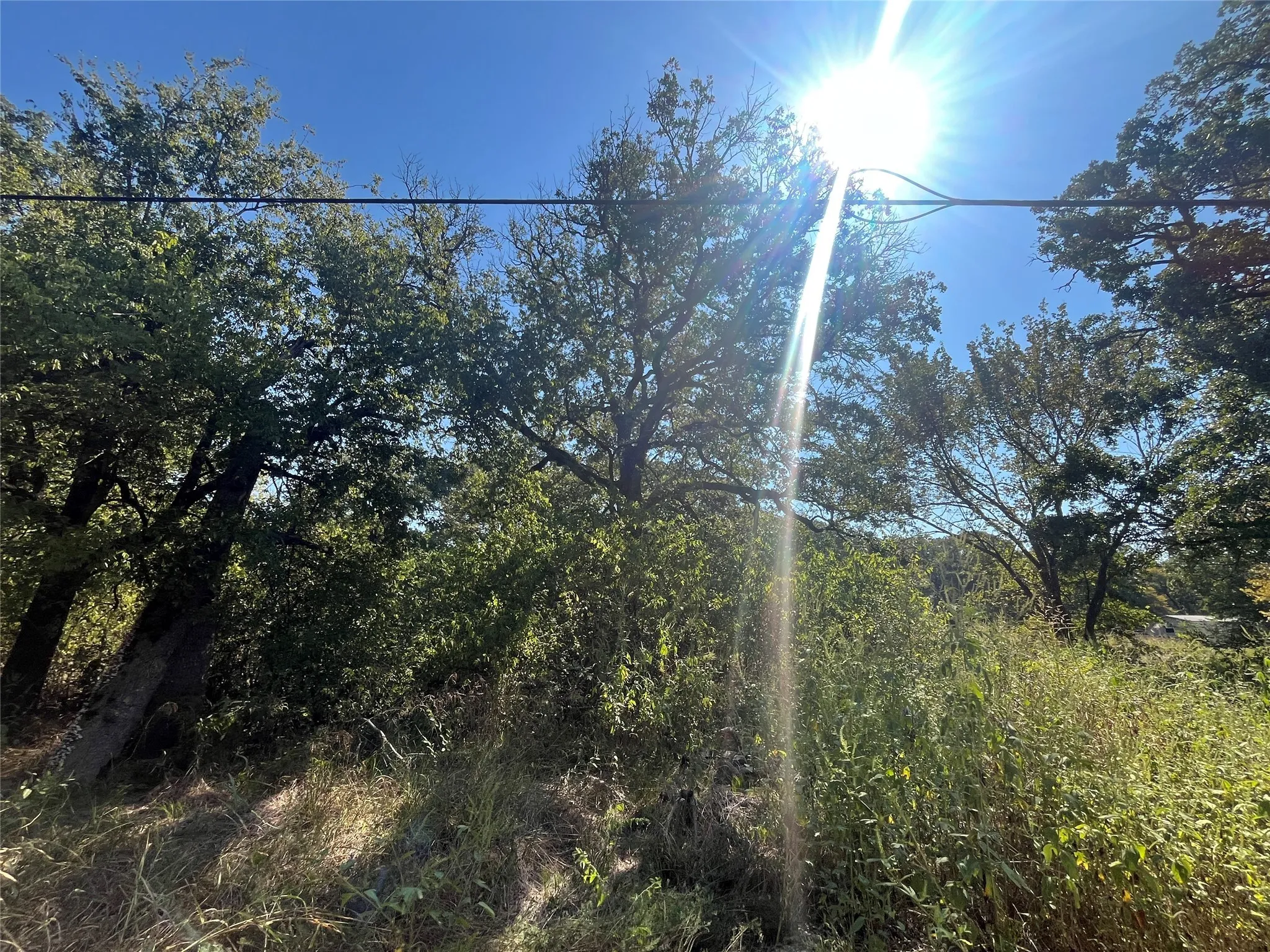 Unimproved Land For Sale in Hunt County , 00 Pinewood Drive, Hawk Cove, Texas 75474, 0, 0, Garage spaces, 0 Sqft, built in 0, Price $17,900, mls#21093934, Real Estate Agent in Hawk Cove, Homes For Sale in Hunt county, Homes For Sale in Hawk Cove, Realtor in Hawk Cove Texas, Real Estate Brokerage Independent Realty Texas, Luminita Cordes Realtor