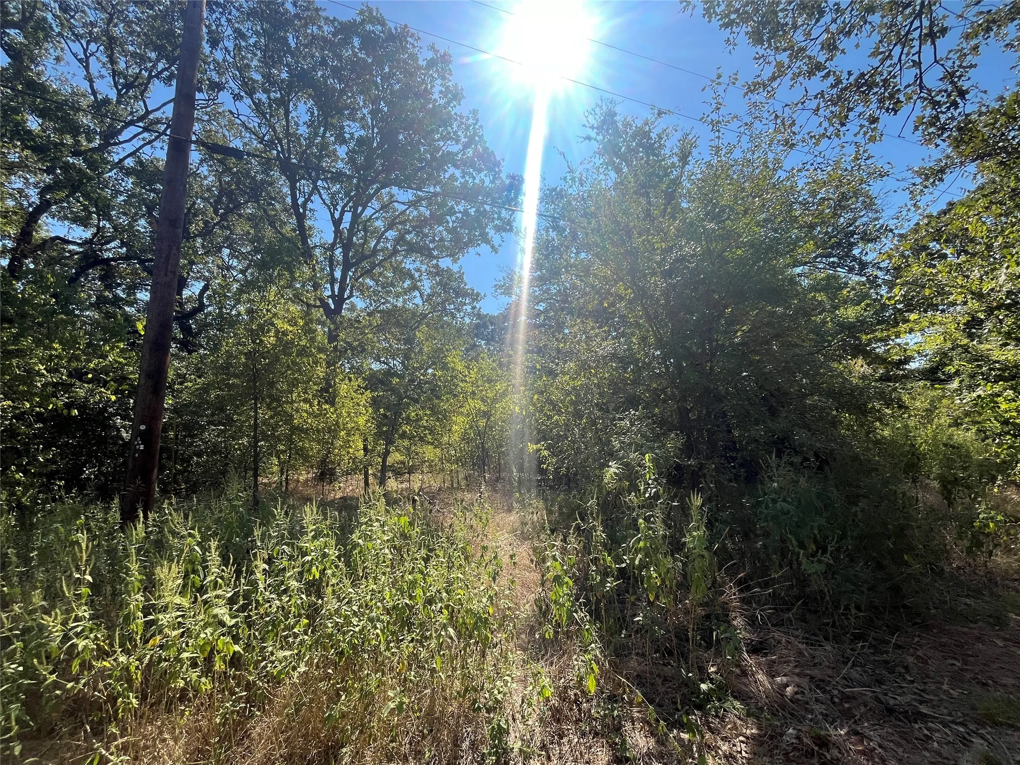 Unimproved Land For Sale in Hunt County , 00 Pinewood Drive, Hawk Cove, Texas 75474, 0, 0, Garage spaces, 0 Sqft, built in 0, Price $17,900, mls#21093934, Real Estate Agent in Hawk Cove, Homes For Sale in Hunt county, Homes For Sale in Hawk Cove, Realtor in Hawk Cove Texas, Real Estate Brokerage Independent Realty Texas, Luminita Cordes Realtor