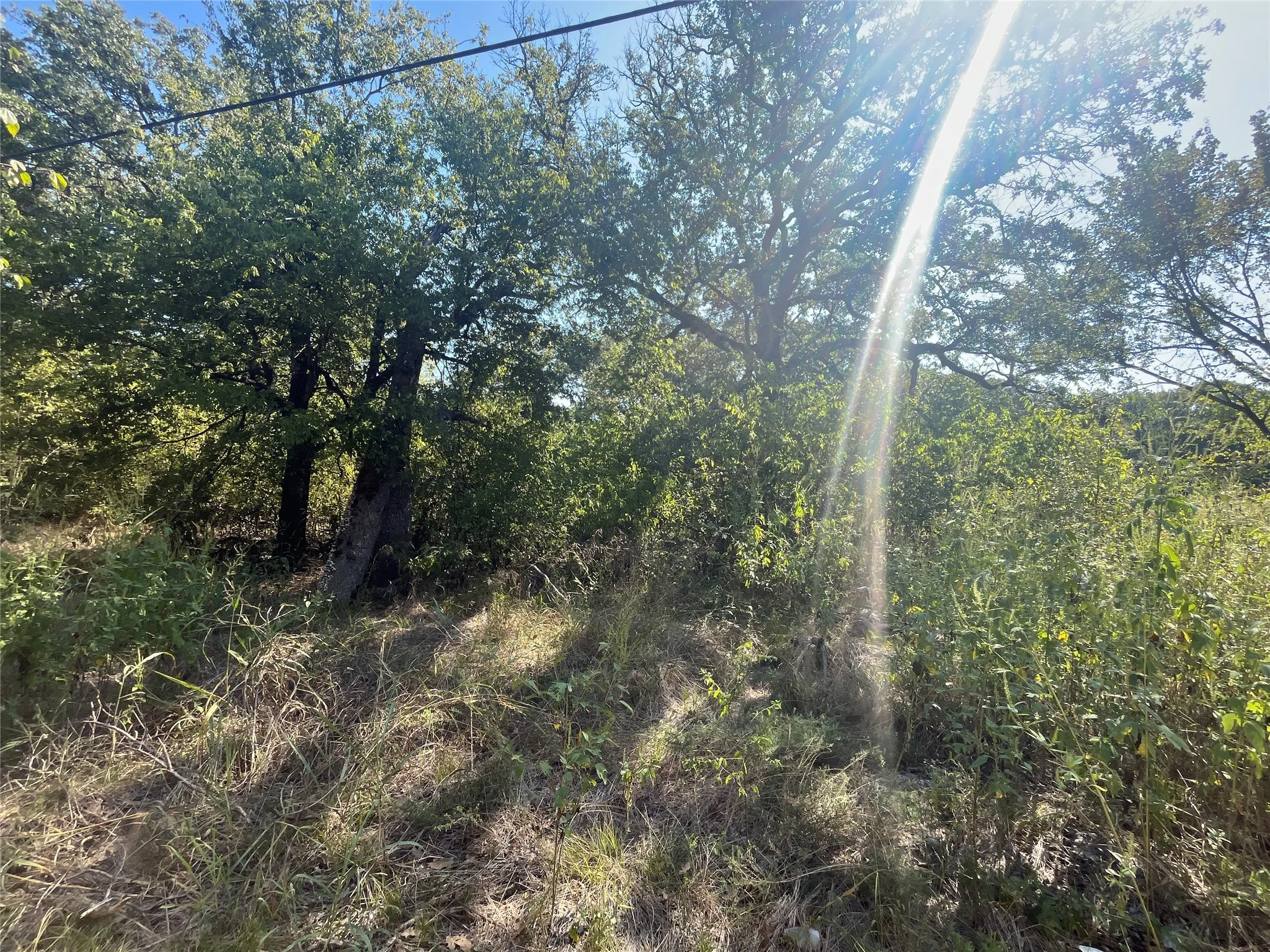 Unimproved Land For Sale in Hunt County , 00 Pinewood Drive, Hawk Cove, Texas 75474, 0, 0, Garage spaces, 0 Sqft, built in 0, Price $17,900, mls#21093934, Real Estate Agent in Hawk Cove, Homes For Sale in Hunt county, Homes For Sale in Hawk Cove, Realtor in Hawk Cove Texas, Real Estate Brokerage Independent Realty Texas, Luminita Cordes Realtor
