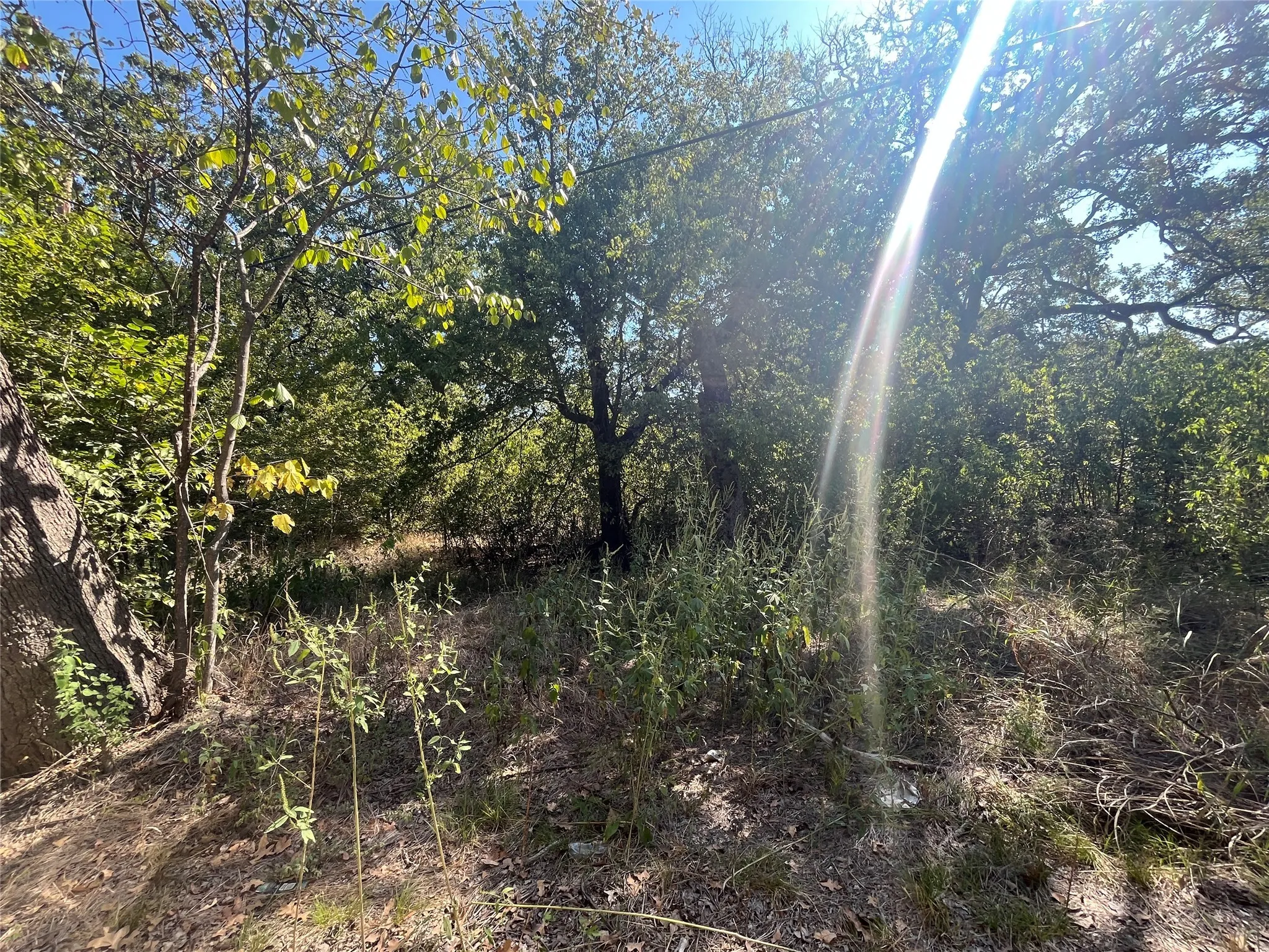 Unimproved Land For Sale in Hunt County , 00 Pinewood Drive, Hawk Cove, Texas 75474, 0, 0, Garage spaces, 0 Sqft, built in 0, Price $17,900, mls#21093934, Real Estate Agent in Hawk Cove, Homes For Sale in Hunt county, Homes For Sale in Hawk Cove, Realtor in Hawk Cove Texas, Real Estate Brokerage Independent Realty Texas, Luminita Cordes Realtor