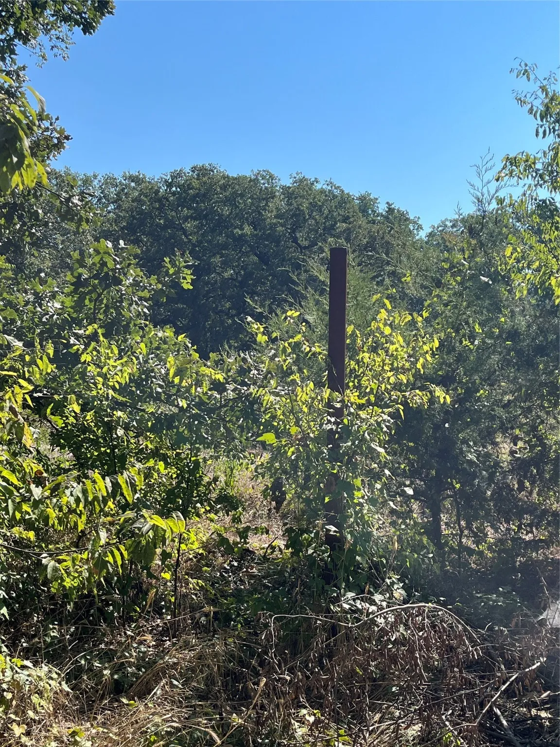 Unimproved Land For Sale in Hunt County , 00 Pinewood Drive, Hawk Cove, Texas 75474, 0, 0, Garage spaces, 0 Sqft, built in 0, Price $17,900, mls#21093934, Real Estate Agent in Hawk Cove, Homes For Sale in Hunt county, Homes For Sale in Hawk Cove, Realtor in Hawk Cove Texas, Real Estate Brokerage Independent Realty Texas, Luminita Cordes Realtor