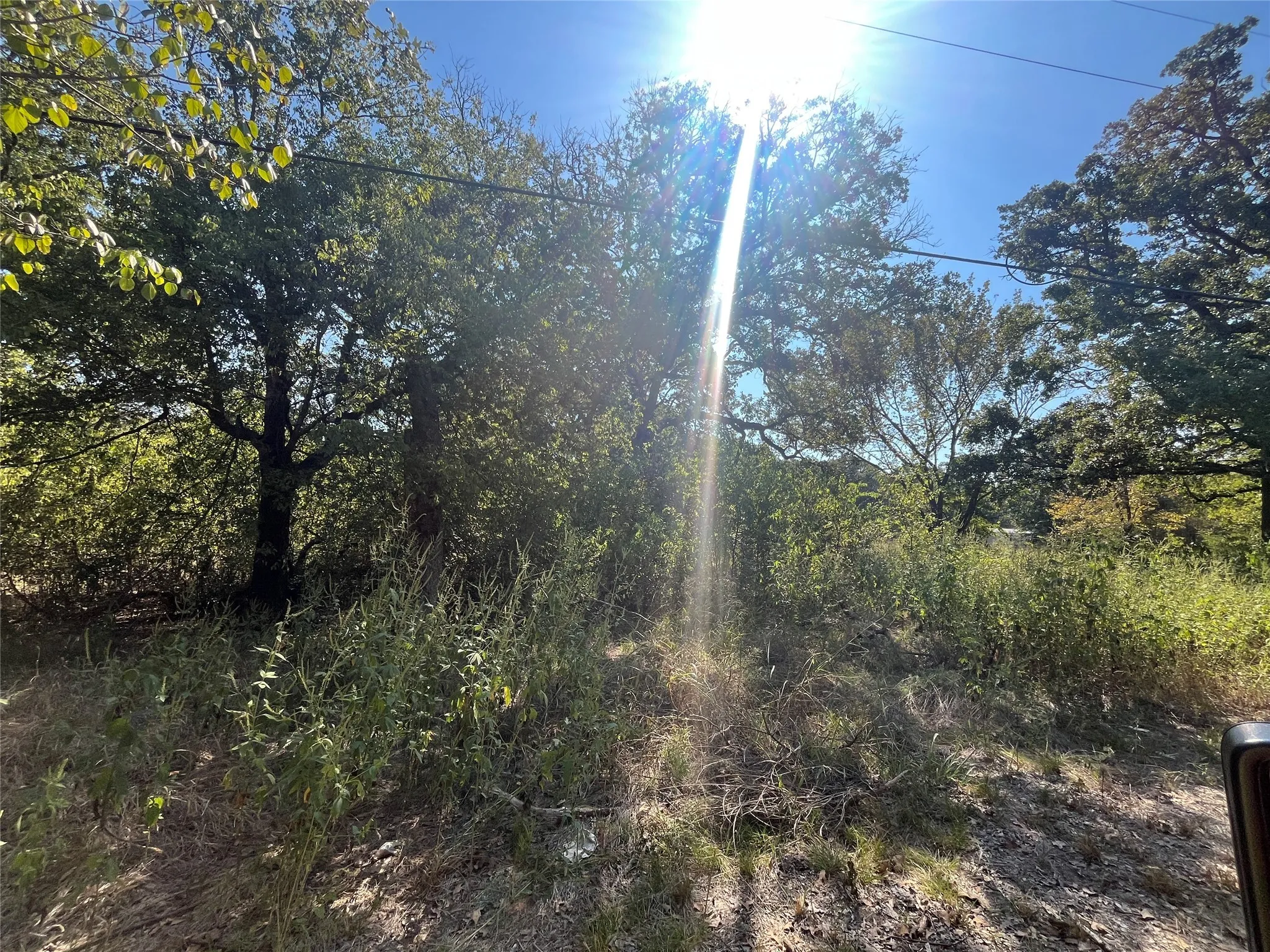 Unimproved Land For Sale in Hunt County , 00 Pinewood Drive, Hawk Cove, Texas 75474, 0, 0, Garage spaces, 0 Sqft, built in 0, Price $17,900, mls#21093934, Real Estate Agent in Hawk Cove, Homes For Sale in Hunt county, Homes For Sale in Hawk Cove, Realtor in Hawk Cove Texas, Real Estate Brokerage Independent Realty Texas, Luminita Cordes Realtor