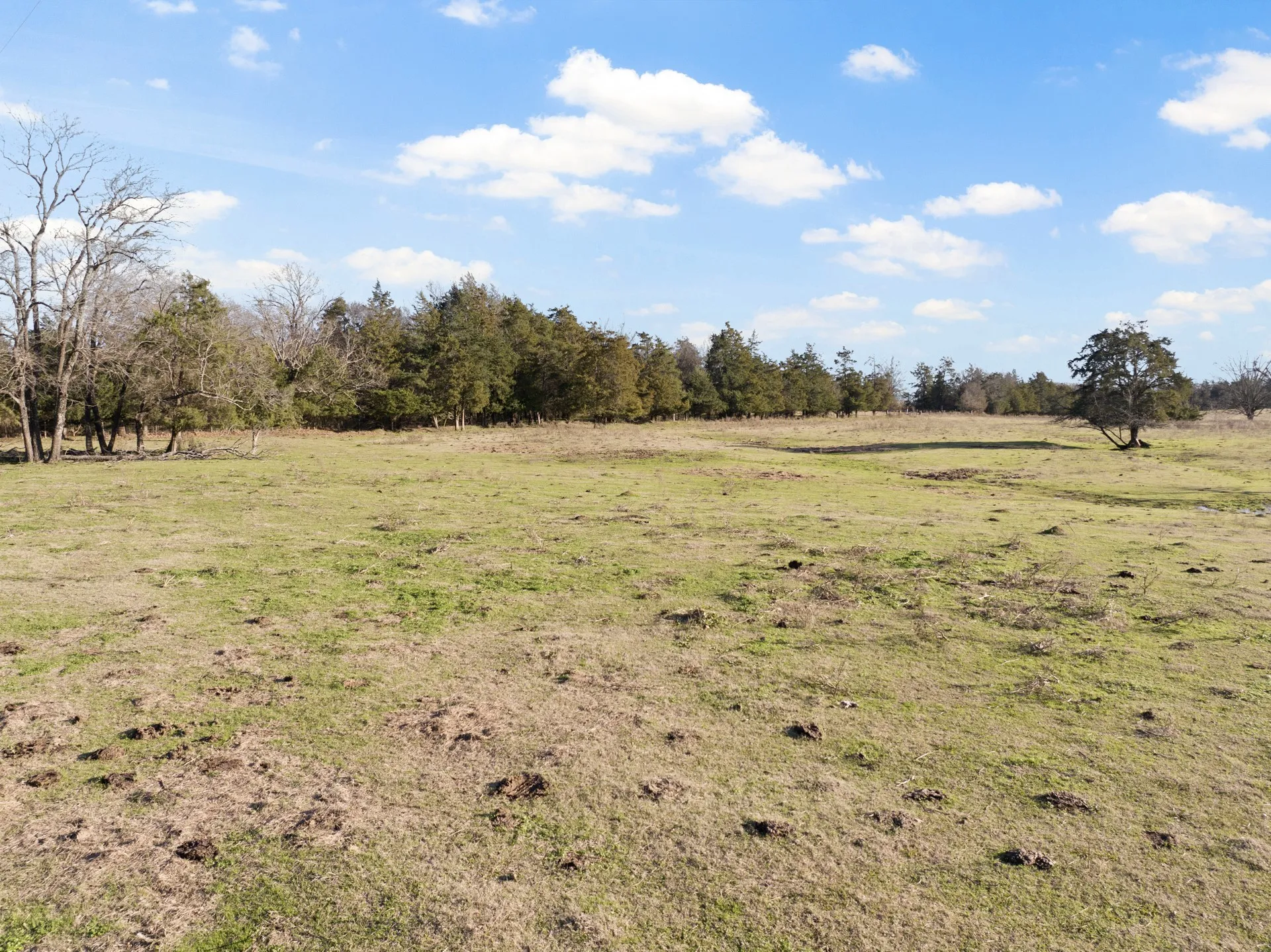 Farm For Sale in Titus County , TBD County Road 1468, Mt Pleasant, Texas 75455, 3 Bedrooms, 2 Bathrooms, Garage spaces, 1,300 Sqft, built in 0, Preowned, Price $575,000, mls#21093961, Real Estate Agent in Mt Pleasant, Homes For Sale in Titus county, Homes For Sale in Mt Pleasant, Realtor in Mt Pleasant Texas, Real Estate Brokerage Independent Realty Texas, Luminita Cordes Realtor