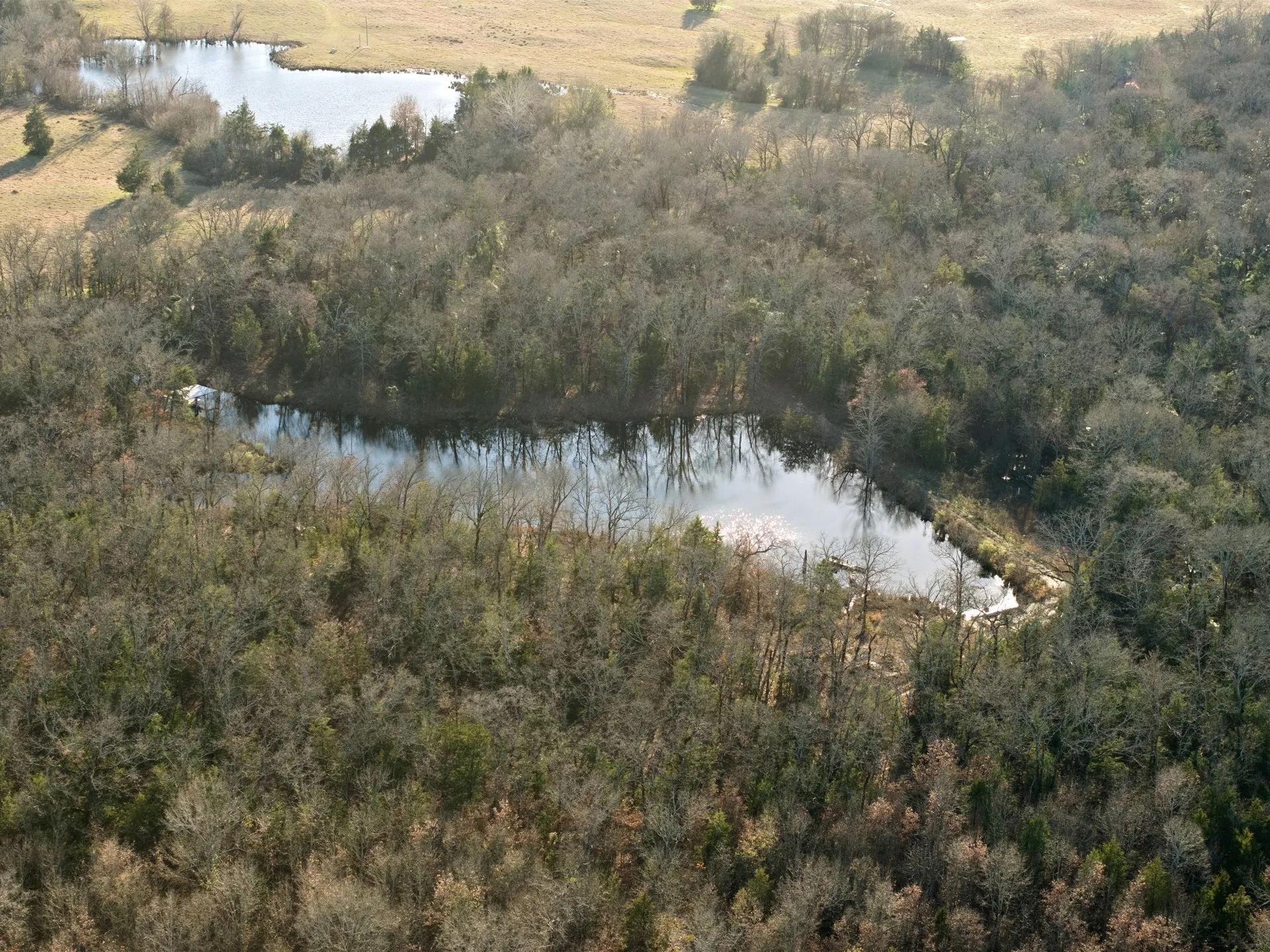 Farm For Sale in Titus County , TBD County Road 1468, Mt Pleasant, Texas 75455, 3 Bedrooms, 2 Bathrooms, Garage spaces, 1,300 Sqft, built in 0, Preowned, Price $575,000, mls#21093961, Real Estate Agent in Mt Pleasant, Homes For Sale in Titus county, Homes For Sale in Mt Pleasant, Realtor in Mt Pleasant Texas, Real Estate Brokerage Independent Realty Texas, Luminita Cordes Realtor