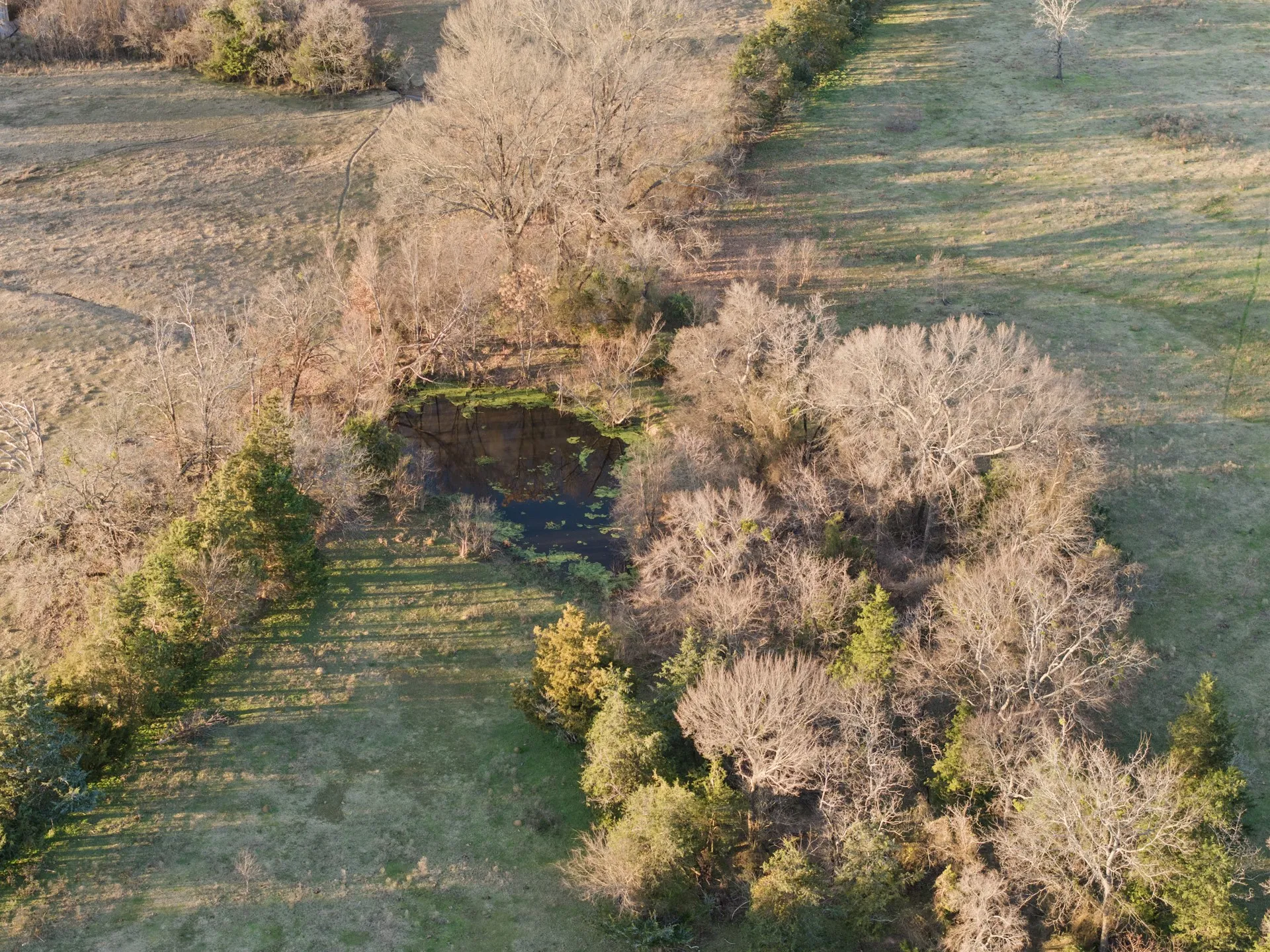 Farm For Sale in Titus County , TBD County Road 1468, Mt Pleasant, Texas 75455, 3 Bedrooms, 2 Bathrooms, Garage spaces, 1,300 Sqft, built in 0, Preowned, Price $575,000, mls#21093961, Real Estate Agent in Mt Pleasant, Homes For Sale in Titus county, Homes For Sale in Mt Pleasant, Realtor in Mt Pleasant Texas, Real Estate Brokerage Independent Realty Texas, Luminita Cordes Realtor