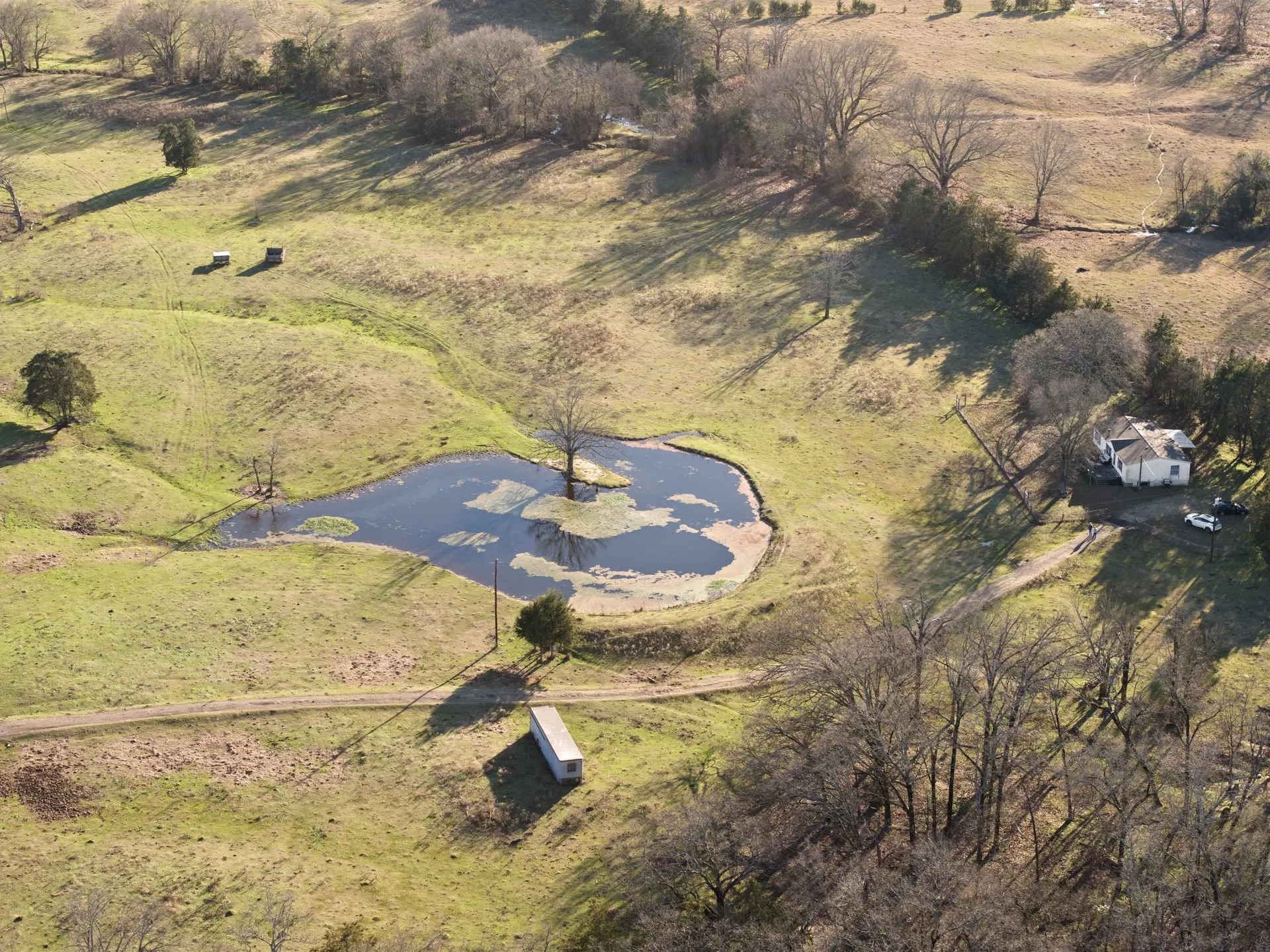 Farm For Sale in Titus County , TBD County Road 1468, Mt Pleasant, Texas 75455, 3 Bedrooms, 2 Bathrooms, Garage spaces, 1,300 Sqft, built in 0, Preowned, Price $575,000, mls#21093961, Real Estate Agent in Mt Pleasant, Homes For Sale in Titus county, Homes For Sale in Mt Pleasant, Realtor in Mt Pleasant Texas, Real Estate Brokerage Independent Realty Texas, Luminita Cordes Realtor