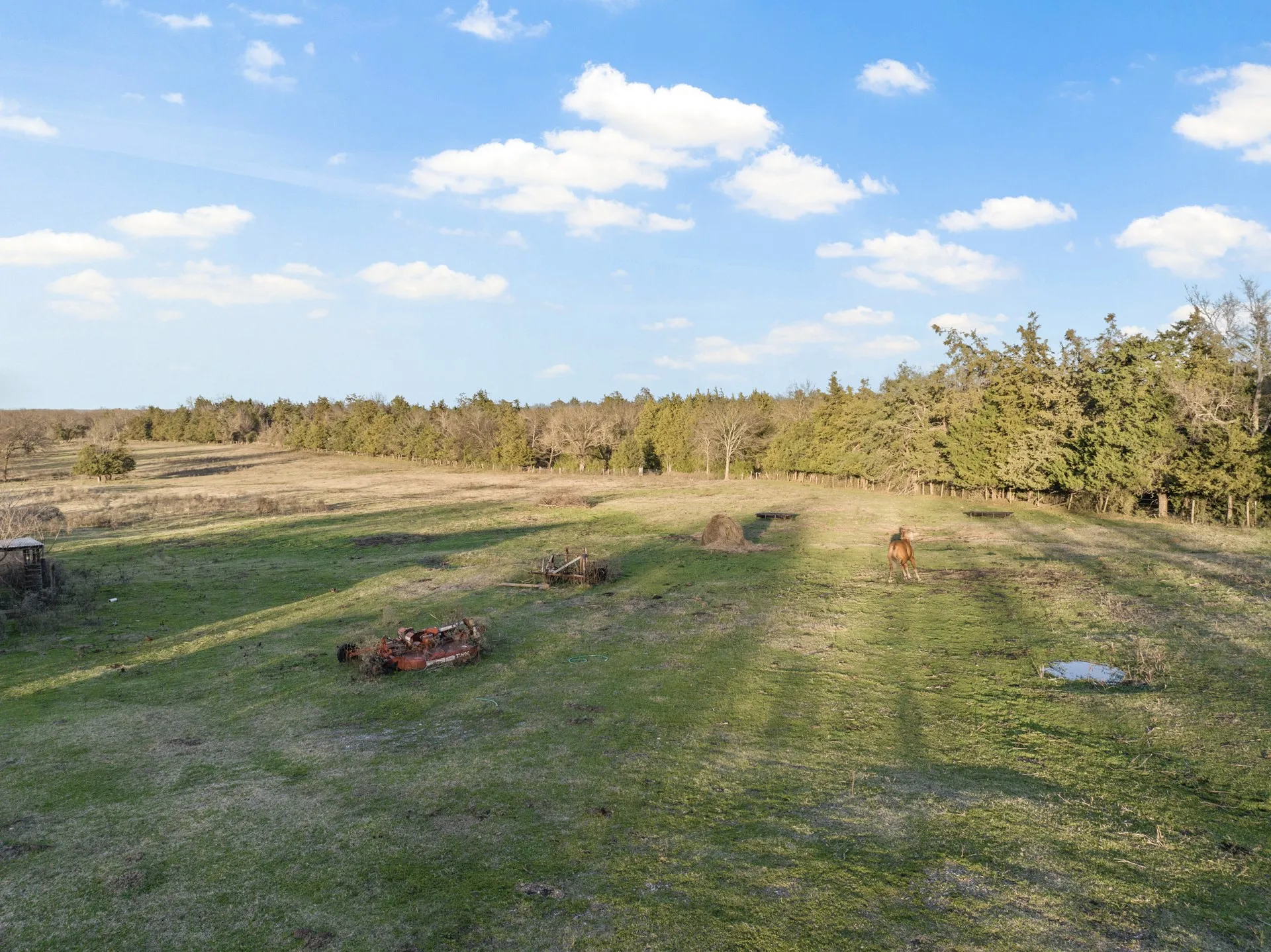 Farm For Sale in Titus County , TBD County Road 1468, Mt Pleasant, Texas 75455, 3 Bedrooms, 2 Bathrooms, Garage spaces, 1,300 Sqft, built in 0, Preowned, Price $575,000, mls#21093961, Real Estate Agent in Mt Pleasant, Homes For Sale in Titus county, Homes For Sale in Mt Pleasant, Realtor in Mt Pleasant Texas, Real Estate Brokerage Independent Realty Texas, Luminita Cordes Realtor