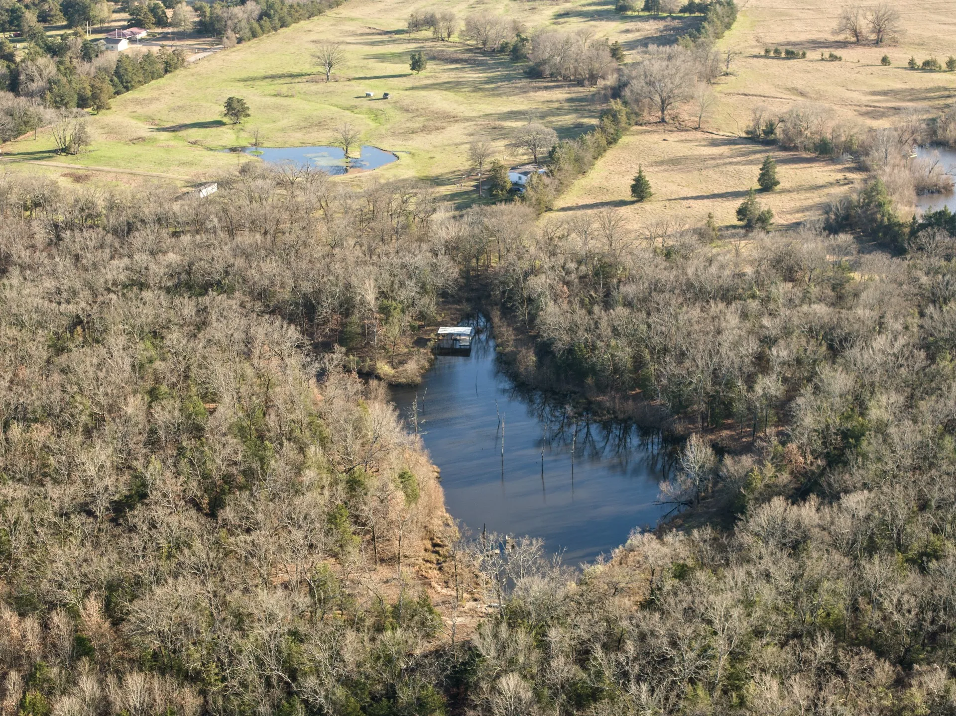 Farm For Sale in Titus County , TBD County Road 1468, Mt Pleasant, Texas 75455, 3 Bedrooms, 2 Bathrooms, Garage spaces, 1,300 Sqft, built in 0, Preowned, Price $575,000, mls#21093961, Real Estate Agent in Mt Pleasant, Homes For Sale in Titus county, Homes For Sale in Mt Pleasant, Realtor in Mt Pleasant Texas, Real Estate Brokerage Independent Realty Texas, Luminita Cordes Realtor