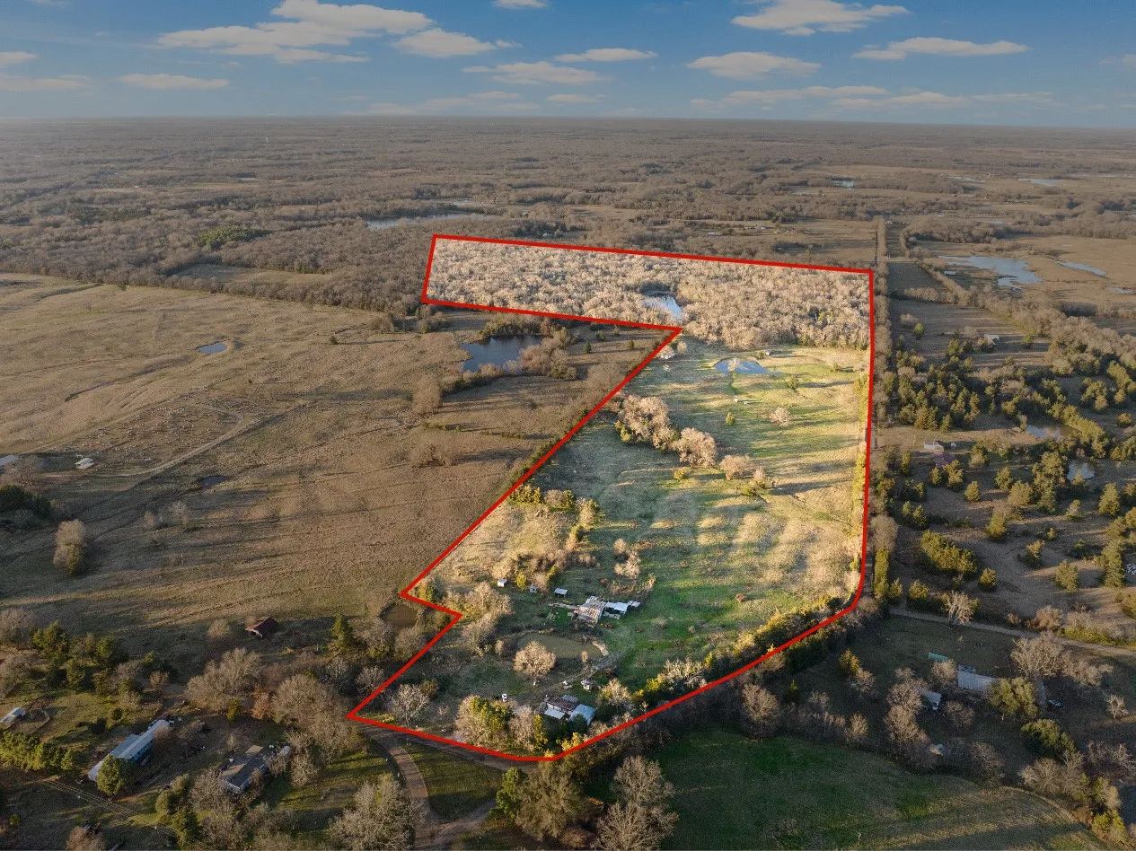 Farm For Sale in Titus County , TBD County Road 1468, Mt Pleasant, Texas 75455, 3 Bedrooms, 2 Bathrooms, Garage spaces, 1,300 Sqft, built in 0, Preowned, Price $575,000, mls#21093961, Real Estate Agent in Mt Pleasant, Homes For Sale in Titus county, Homes For Sale in Mt Pleasant, Realtor in Mt Pleasant Texas, Real Estate Brokerage Independent Realty Texas, Luminita Cordes Realtor