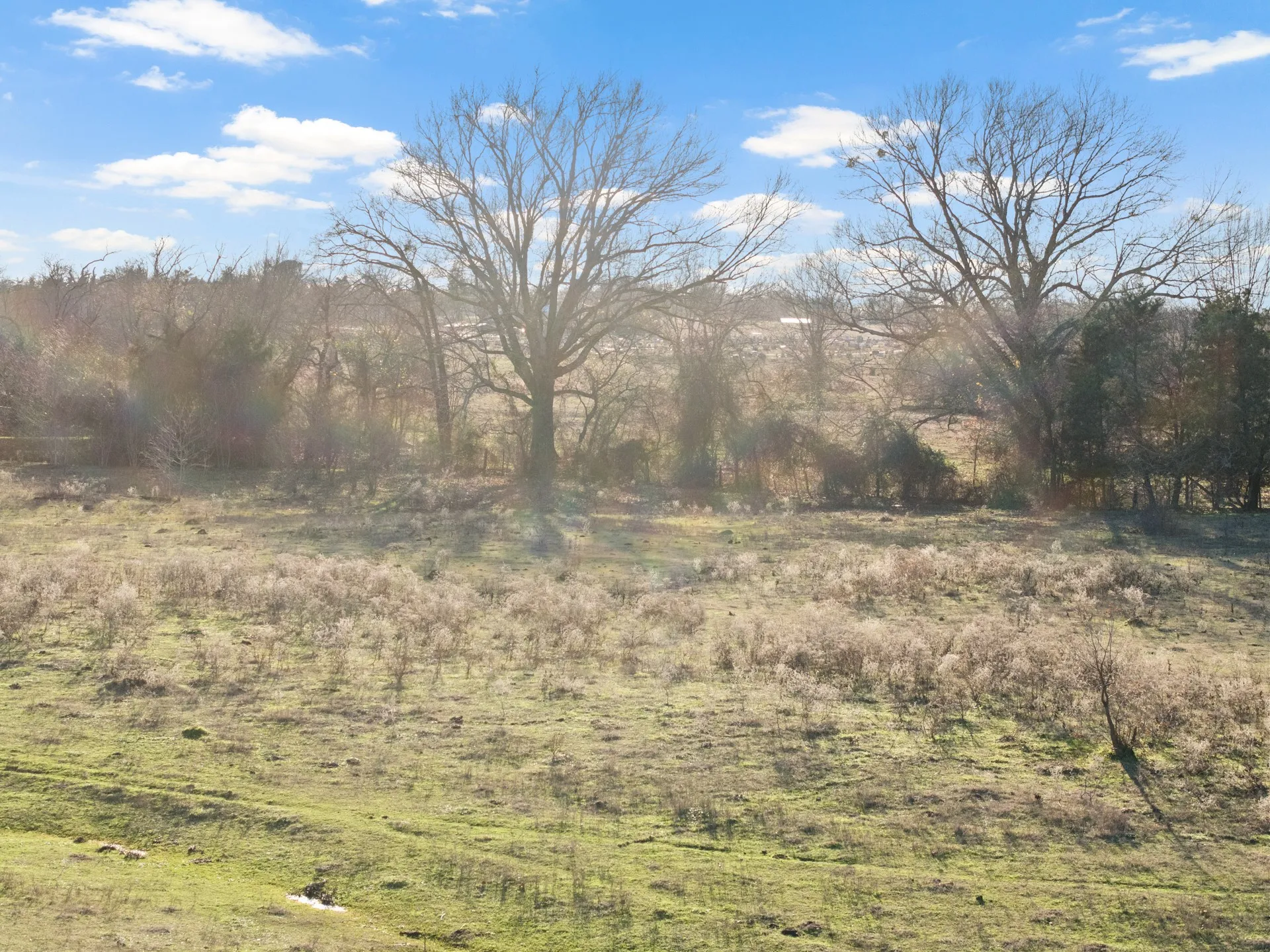 Farm For Sale in Titus County , TBD County Road 1468, Mt Pleasant, Texas 75455, 3 Bedrooms, 2 Bathrooms, Garage spaces, 1,300 Sqft, built in 0, Preowned, Price $575,000, mls#21093961, Real Estate Agent in Mt Pleasant, Homes For Sale in Titus county, Homes For Sale in Mt Pleasant, Realtor in Mt Pleasant Texas, Real Estate Brokerage Independent Realty Texas, Luminita Cordes Realtor