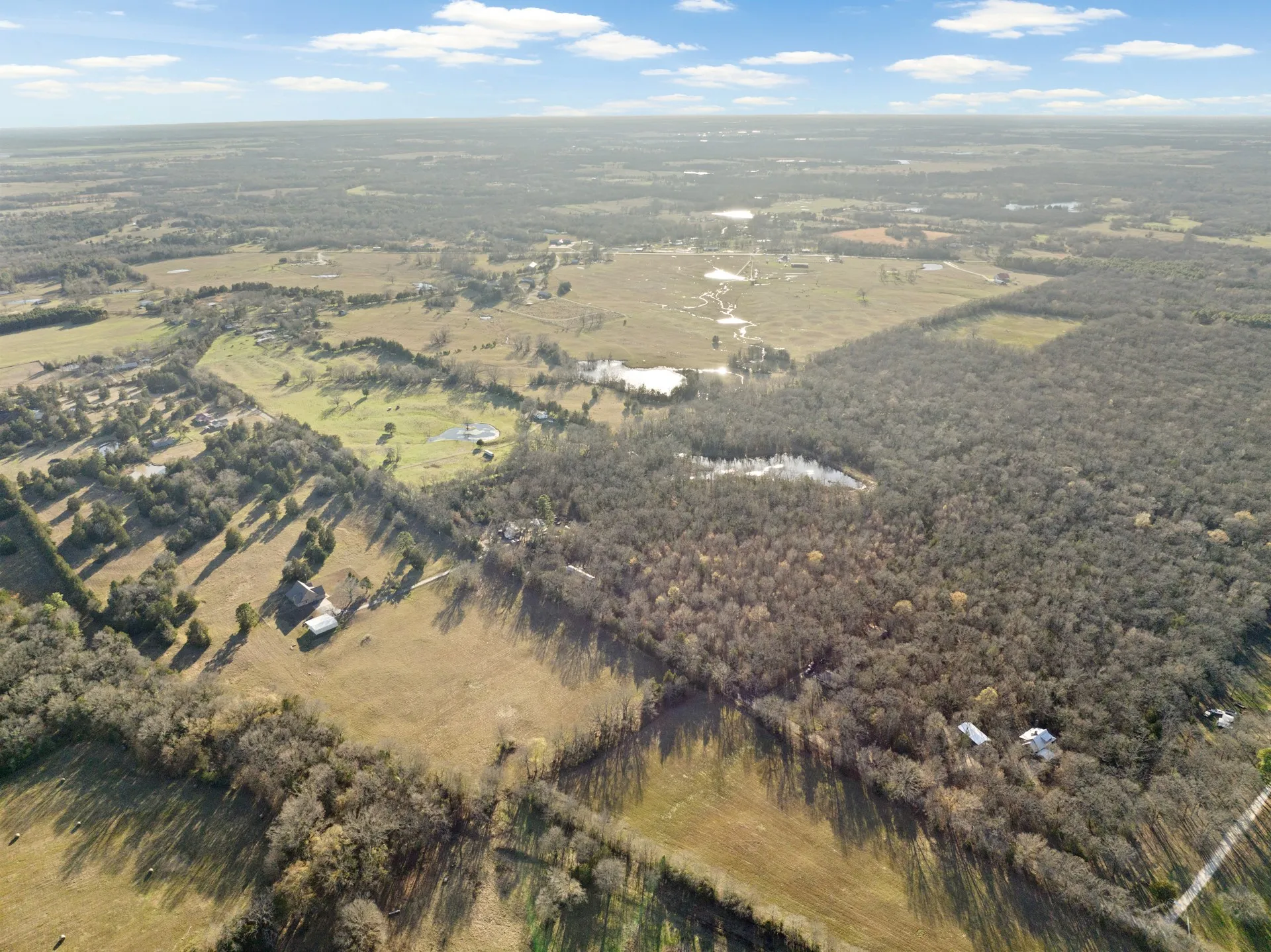 Farm For Sale in Titus County , TBD County Road 1468, Mt Pleasant, Texas 75455, 3 Bedrooms, 2 Bathrooms, Garage spaces, 1,300 Sqft, built in 0, Preowned, Price $575,000, mls#21093961, Real Estate Agent in Mt Pleasant, Homes For Sale in Titus county, Homes For Sale in Mt Pleasant, Realtor in Mt Pleasant Texas, Real Estate Brokerage Independent Realty Texas, Luminita Cordes Realtor