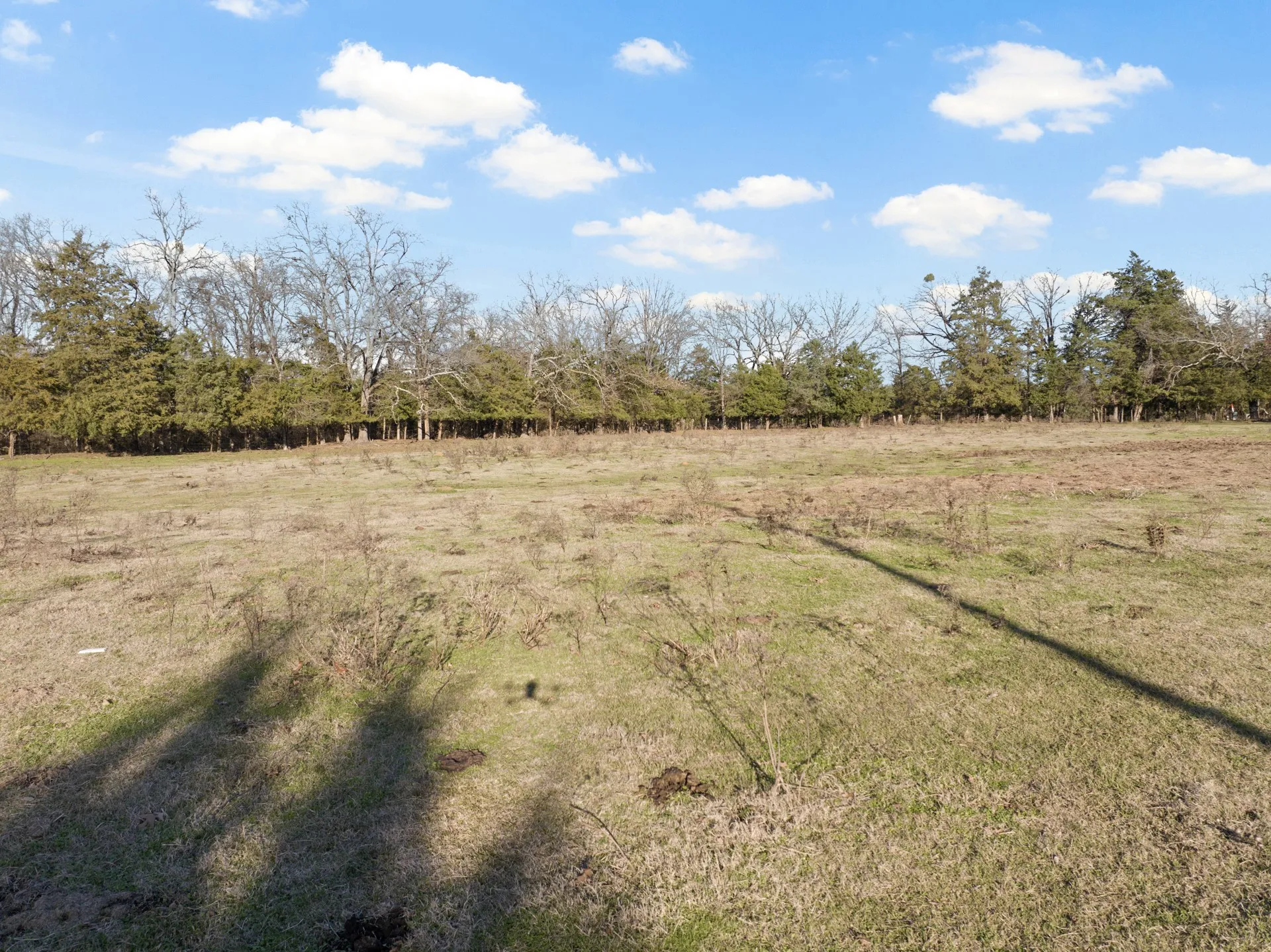 Farm For Sale in Titus County , TBD County Road 1468, Mt Pleasant, Texas 75455, 3 Bedrooms, 2 Bathrooms, Garage spaces, 1,300 Sqft, built in 0, Preowned, Price $575,000, mls#21093961, Real Estate Agent in Mt Pleasant, Homes For Sale in Titus county, Homes For Sale in Mt Pleasant, Realtor in Mt Pleasant Texas, Real Estate Brokerage Independent Realty Texas, Luminita Cordes Realtor