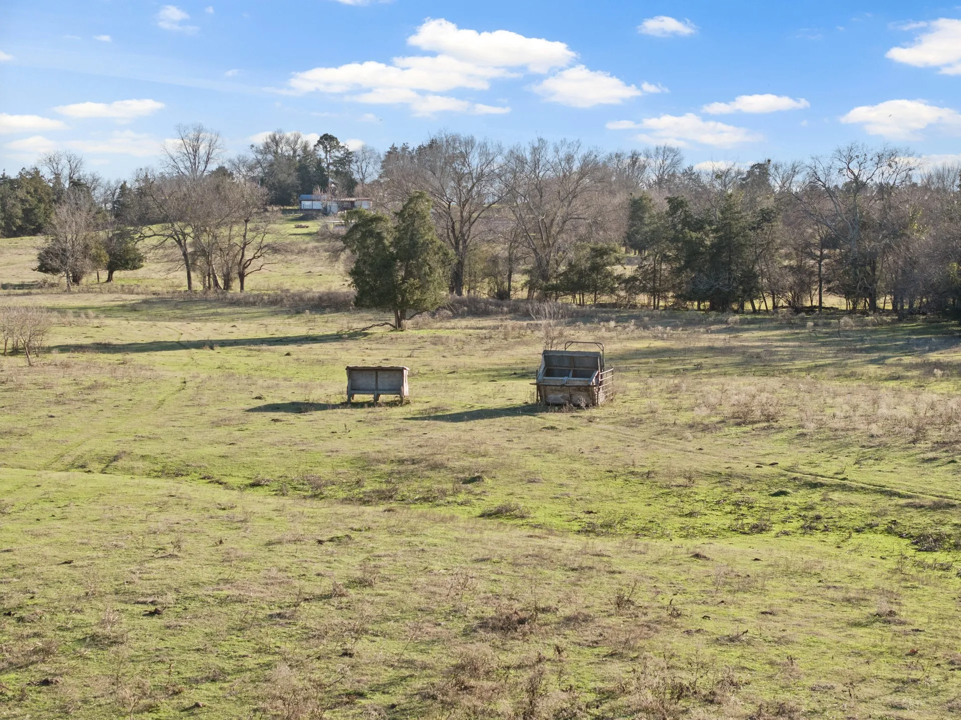 Farm For Sale in Titus County , TBD County Road 1468, Mt Pleasant, Texas 75455, 3 Bedrooms, 2 Bathrooms, Garage spaces, 1,300 Sqft, built in 0, Preowned, Price $575,000, mls#21093961, Real Estate Agent in Mt Pleasant, Homes For Sale in Titus county, Homes For Sale in Mt Pleasant, Realtor in Mt Pleasant Texas, Real Estate Brokerage Independent Realty Texas, Luminita Cordes Realtor