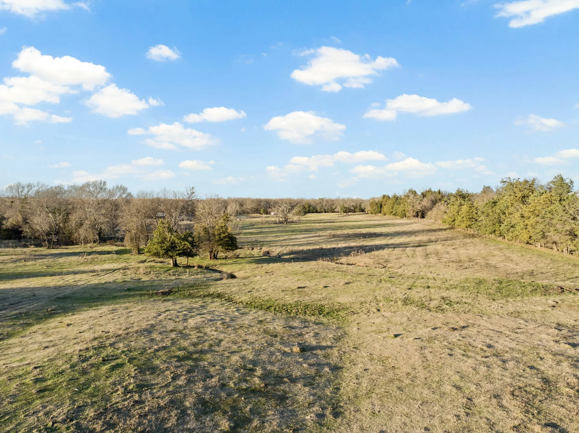 Farm For Sale in Titus County , TBD County Road 1468, Mt Pleasant, Texas 75455, 3 Bedrooms, 2 Bathrooms, Garage spaces, 1,300 Sqft, built in 0, Preowned, Price $575,000, mls#21093961, Real Estate Agent in Mt Pleasant, Homes For Sale in Titus county, Homes For Sale in Mt Pleasant, Realtor in Mt Pleasant Texas, Real Estate Brokerage Independent Realty Texas, Luminita Cordes Realtor
