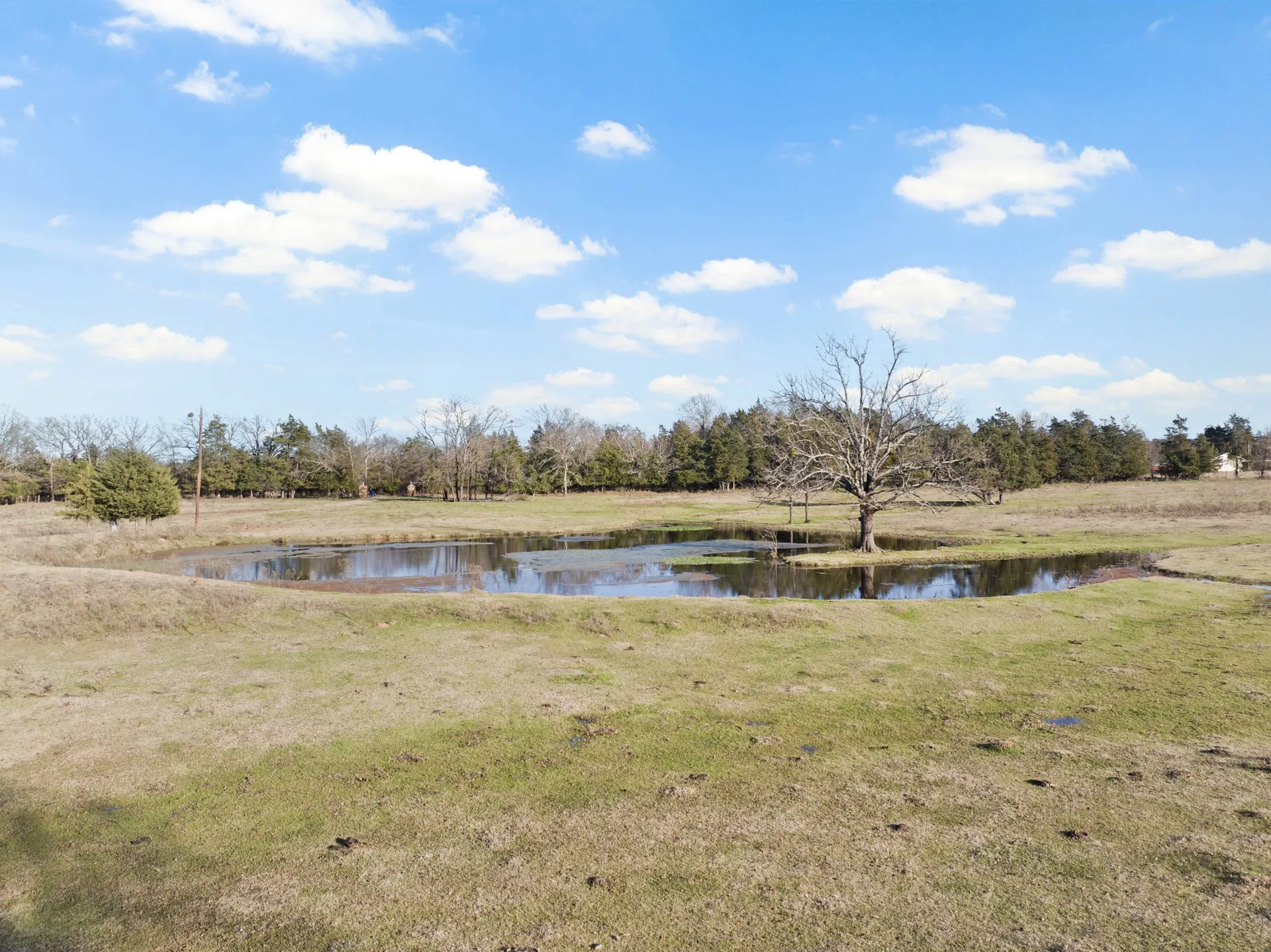 Farm For Sale in Titus County , TBD County Road 1468, Mt Pleasant, Texas 75455, 3 Bedrooms, 2 Bathrooms, Garage spaces, 1,300 Sqft, built in 0, Preowned, Price $575,000, mls#21093961, Real Estate Agent in Mt Pleasant, Homes For Sale in Titus county, Homes For Sale in Mt Pleasant, Realtor in Mt Pleasant Texas, Real Estate Brokerage Independent Realty Texas, Luminita Cordes Realtor