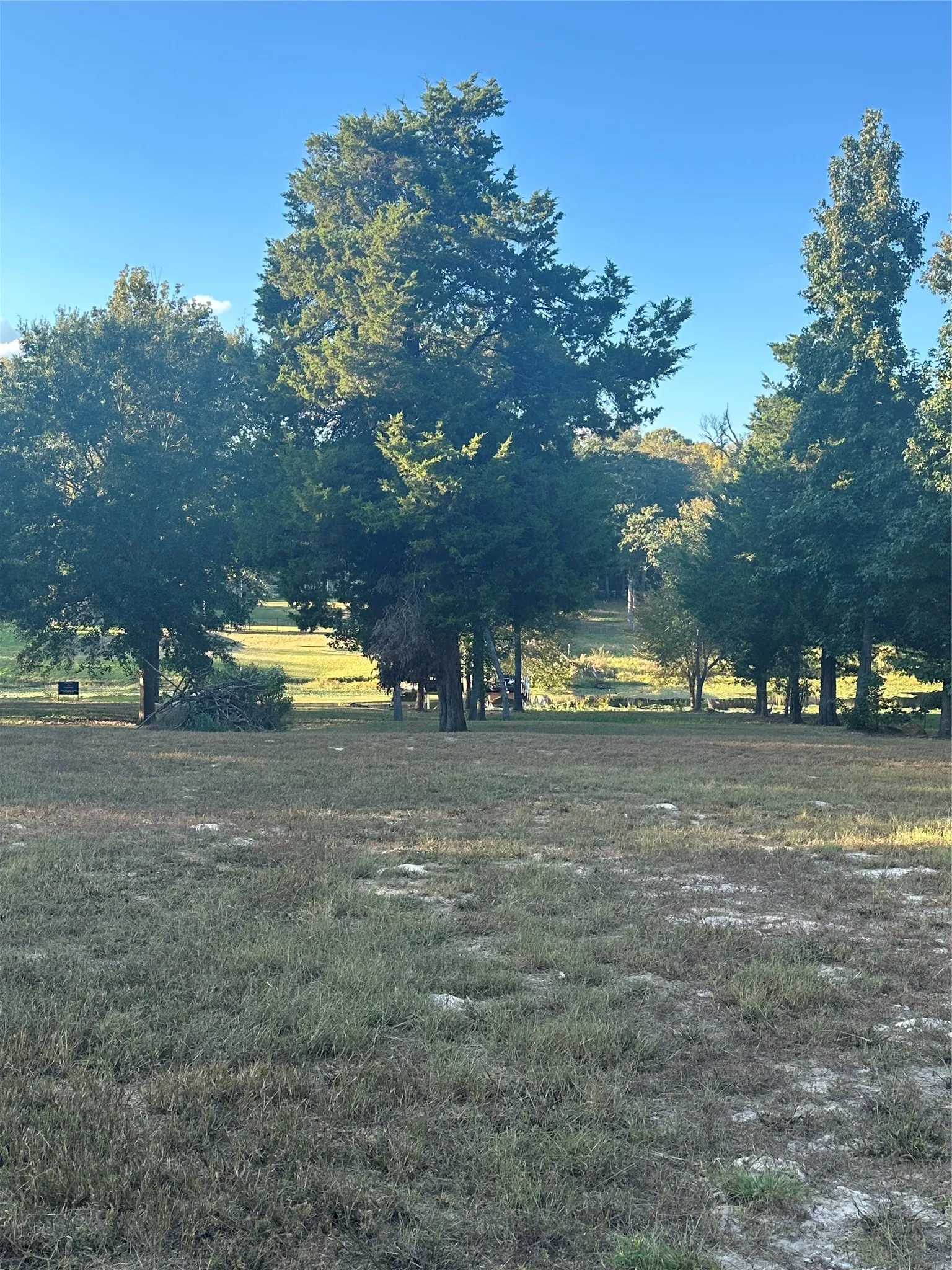 View of green lawn