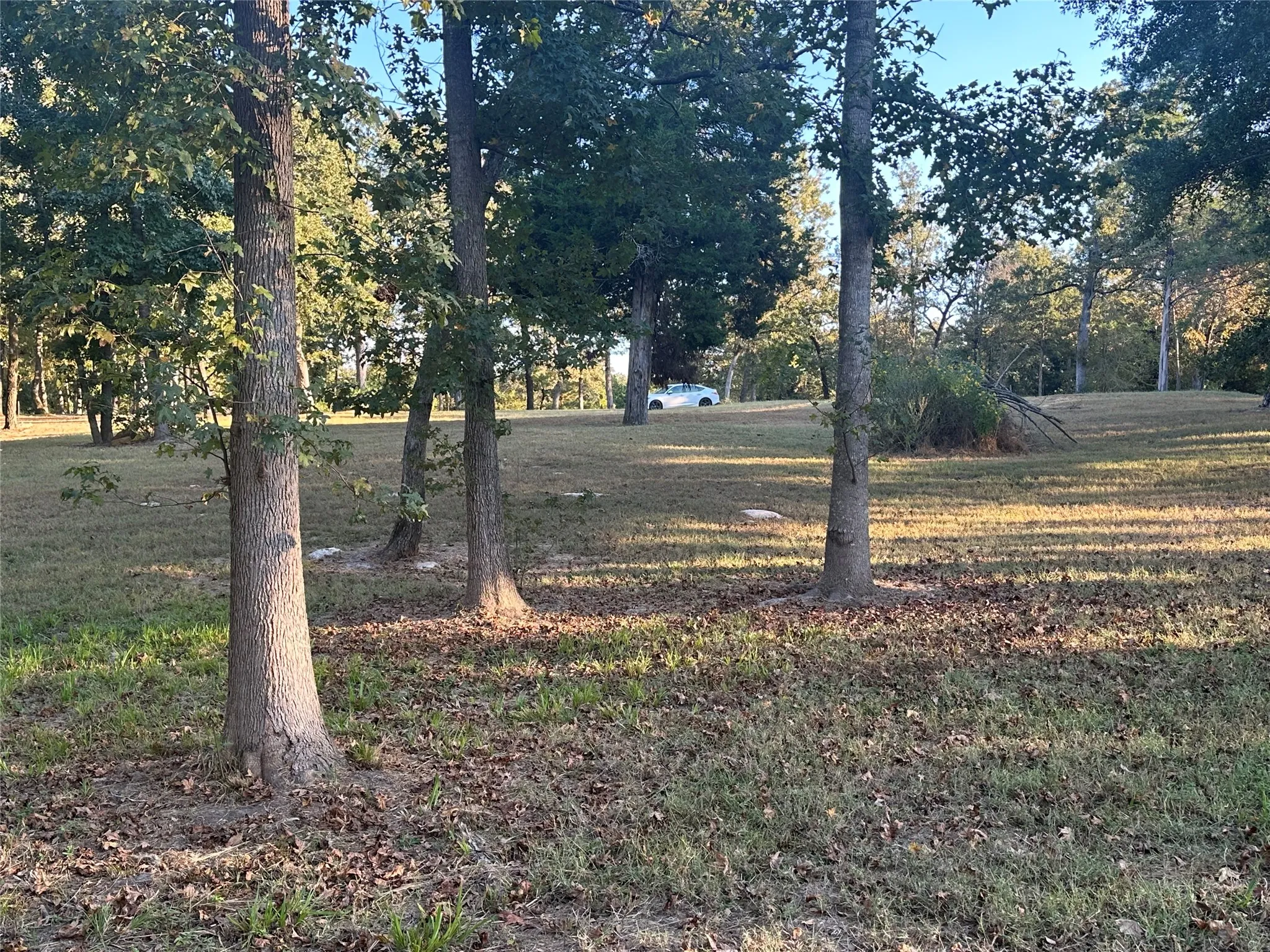 view of lot from lake
