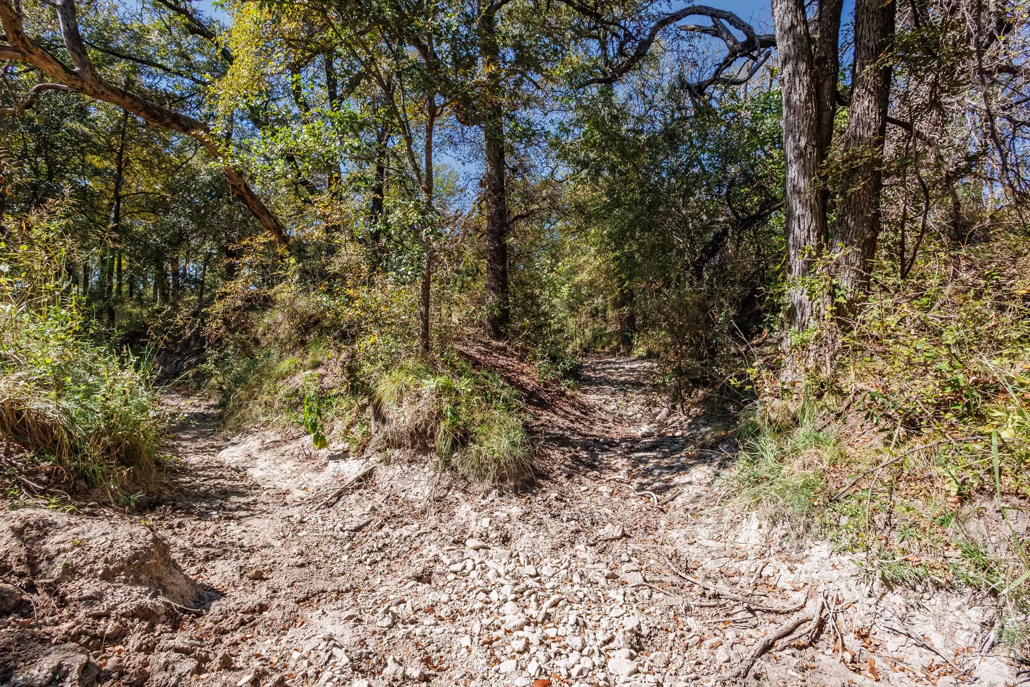 Unimproved Land For Sale in Comanche County , 342 Tatanka Trail, Gustine, Texas 76455, 0, 0, Garage spaces, 0 Sqft, built in 0, mls#21089443, Real Estate Agent in Gustine, Homes For Sale in Comanche county, Homes For Sale in Gustine, Realtor in Gustine Texas, Real Estate Brokerage Independent Realty Texas, Luminita Cordes Realtor
