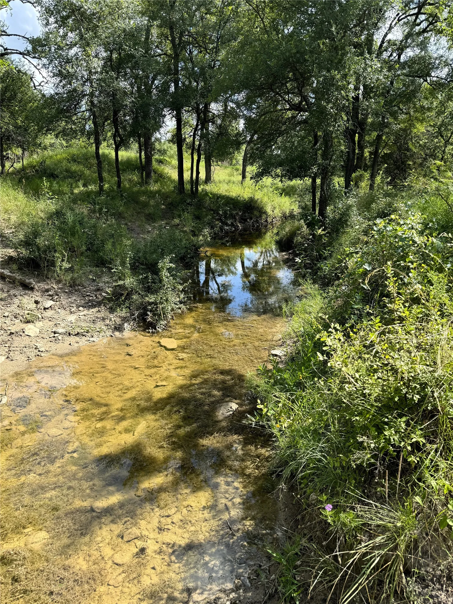 Unimproved Land For Sale in Comanche County , 342 Tatanka Trail, Gustine, Texas 76455, 0, 0, Garage spaces, 0 Sqft, built in 0, mls#21089443, Real Estate Agent in Gustine, Homes For Sale in Comanche county, Homes For Sale in Gustine, Realtor in Gustine Texas, Real Estate Brokerage Independent Realty Texas, Luminita Cordes Realtor