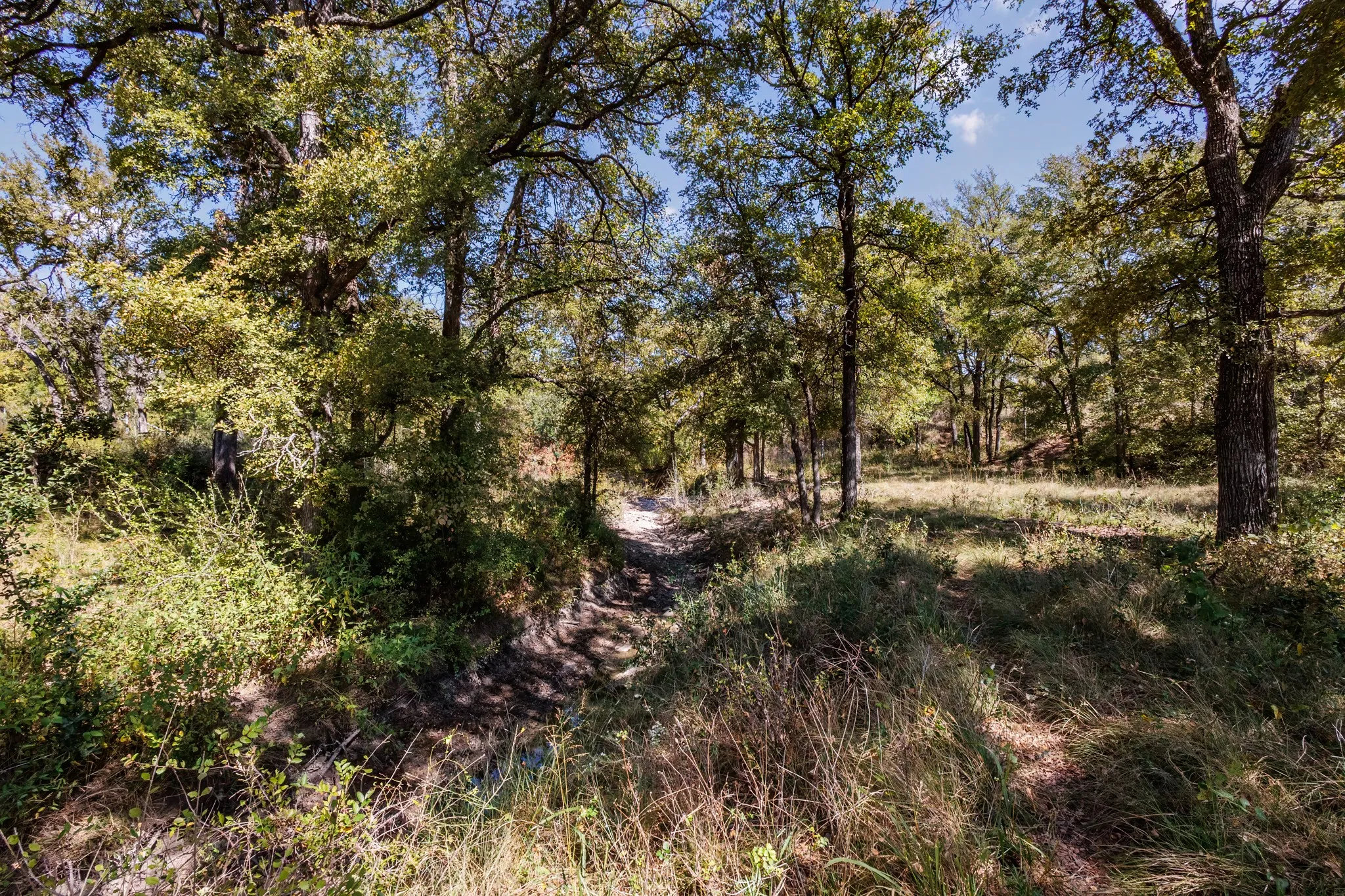 Unimproved Land For Sale in Comanche County , 342 Tatanka Trail, Gustine, Texas 76455, 0, 0, Garage spaces, 0 Sqft, built in 0, mls#21089443, Real Estate Agent in Gustine, Homes For Sale in Comanche county, Homes For Sale in Gustine, Realtor in Gustine Texas, Real Estate Brokerage Independent Realty Texas, Luminita Cordes Realtor