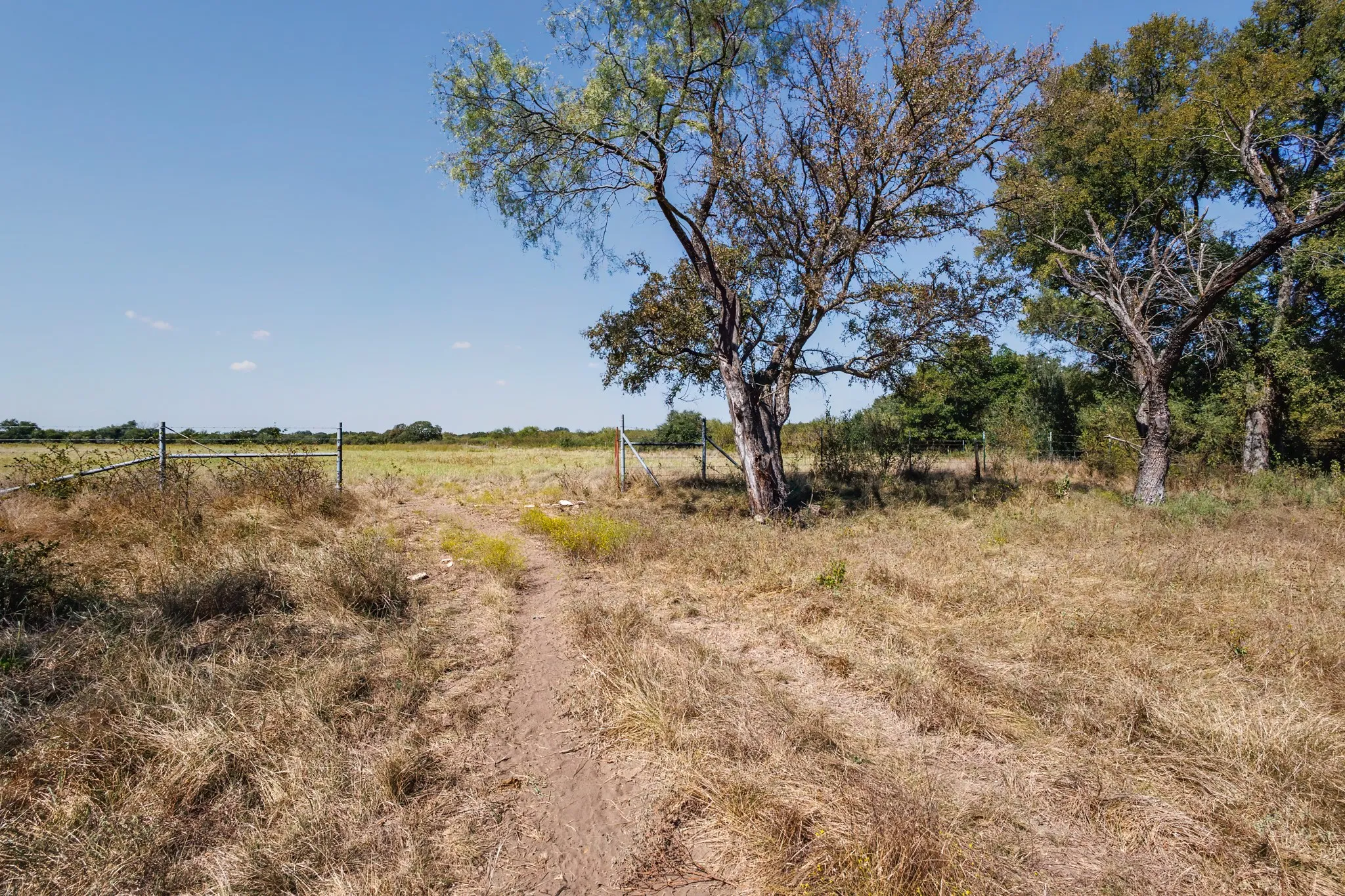 Unimproved Land For Sale in Comanche County , 342 Tatanka Trail, Gustine, Texas 76455, 0, 0, Garage spaces, 0 Sqft, built in 0, mls#21089443, Real Estate Agent in Gustine, Homes For Sale in Comanche county, Homes For Sale in Gustine, Realtor in Gustine Texas, Real Estate Brokerage Independent Realty Texas, Luminita Cordes Realtor