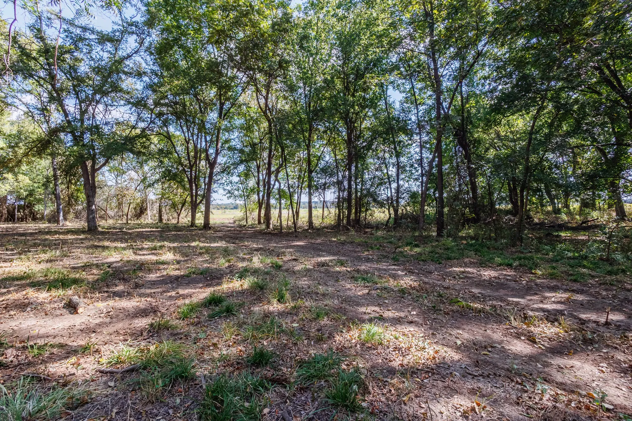 Unimproved Land For Sale in Comanche County , 342 Tatanka Trail, Gustine, Texas 76455, 0, 0, Garage spaces, 0 Sqft, built in 0, mls#21089443, Real Estate Agent in Gustine, Homes For Sale in Comanche county, Homes For Sale in Gustine, Realtor in Gustine Texas, Real Estate Brokerage Independent Realty Texas, Luminita Cordes Realtor