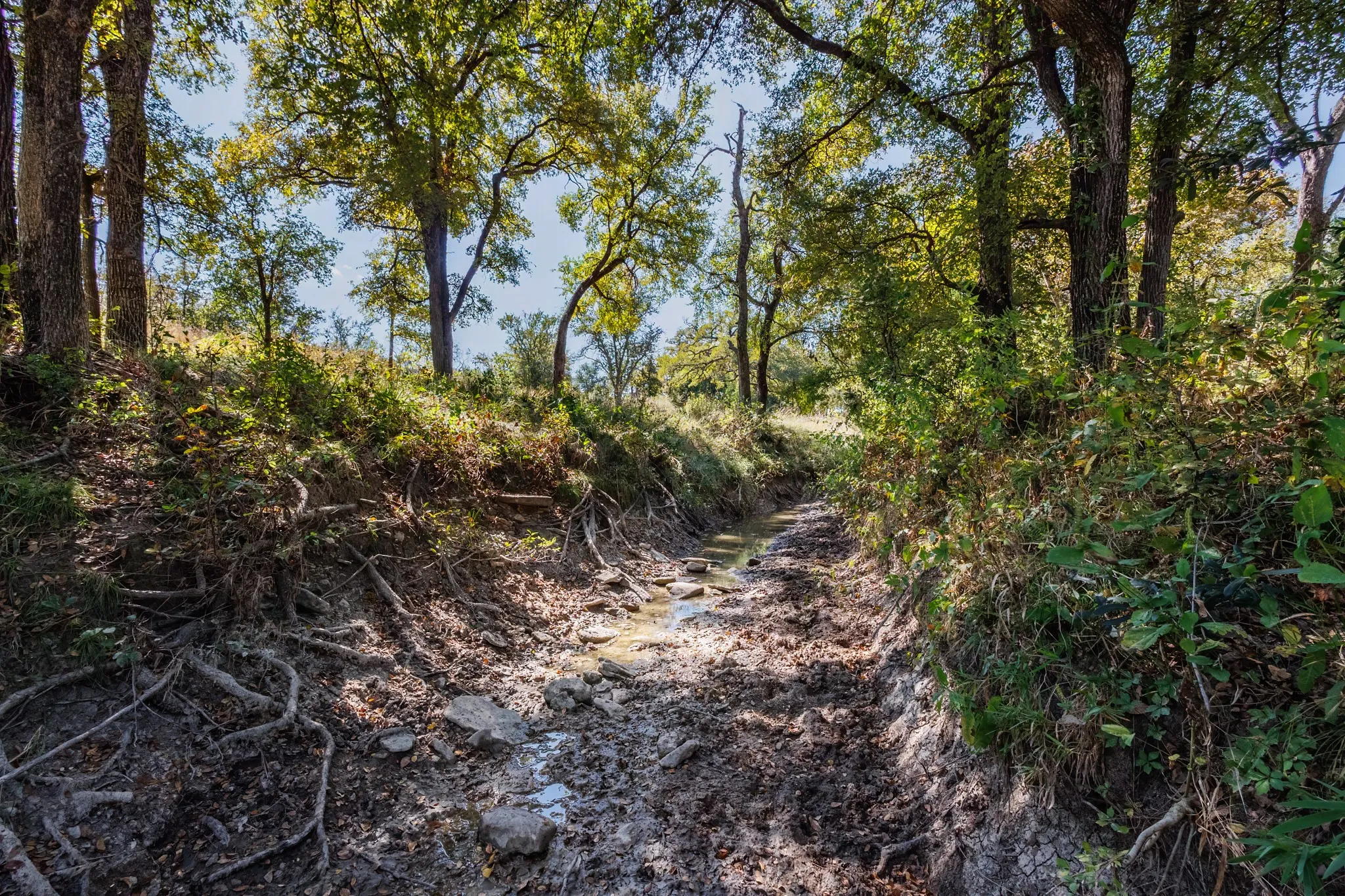 Unimproved Land For Sale in Comanche County , 342 Tatanka Trail, Gustine, Texas 76455, 0, 0, Garage spaces, 0 Sqft, built in 0, mls#21089443, Real Estate Agent in Gustine, Homes For Sale in Comanche county, Homes For Sale in Gustine, Realtor in Gustine Texas, Real Estate Brokerage Independent Realty Texas, Luminita Cordes Realtor