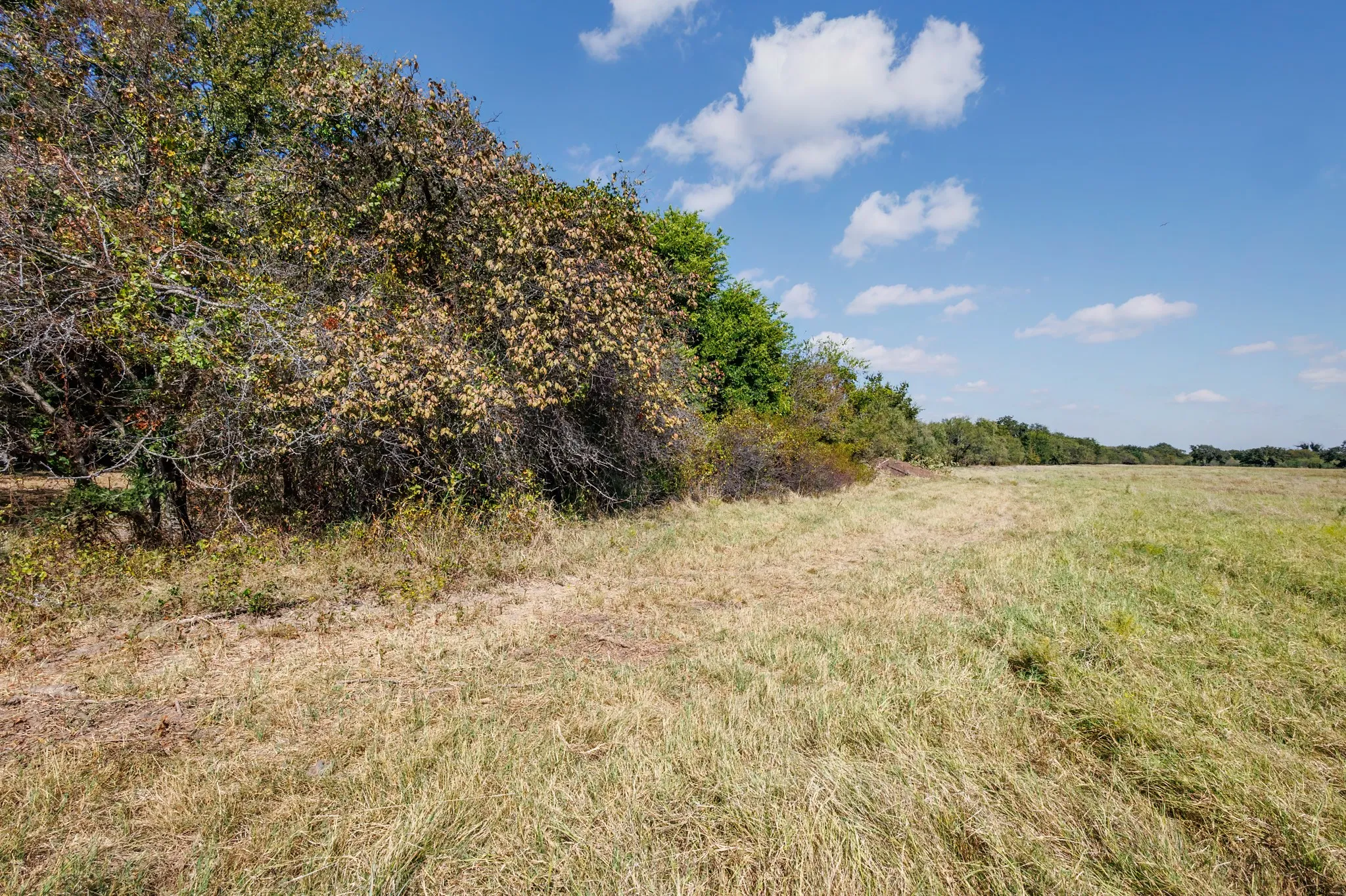 Unimproved Land For Sale in Comanche County , 342 Tatanka Trail, Gustine, Texas 76455, 0, 0, Garage spaces, 0 Sqft, built in 0, mls#21089443, Real Estate Agent in Gustine, Homes For Sale in Comanche county, Homes For Sale in Gustine, Realtor in Gustine Texas, Real Estate Brokerage Independent Realty Texas, Luminita Cordes Realtor