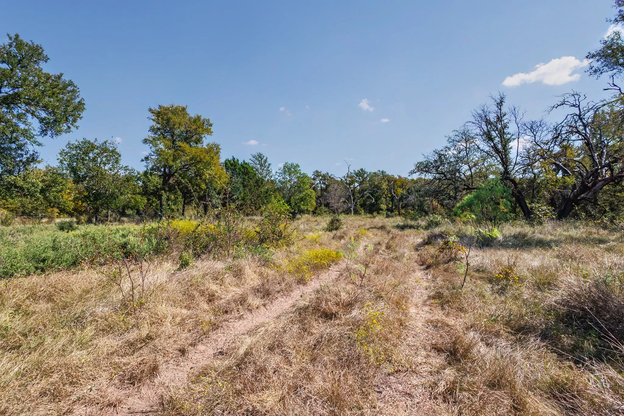 Unimproved Land For Sale in Comanche County , 342 Tatanka Trail, Gustine, Texas 76455, 0, 0, Garage spaces, 0 Sqft, built in 0, mls#21089443, Real Estate Agent in Gustine, Homes For Sale in Comanche county, Homes For Sale in Gustine, Realtor in Gustine Texas, Real Estate Brokerage Independent Realty Texas, Luminita Cordes Realtor