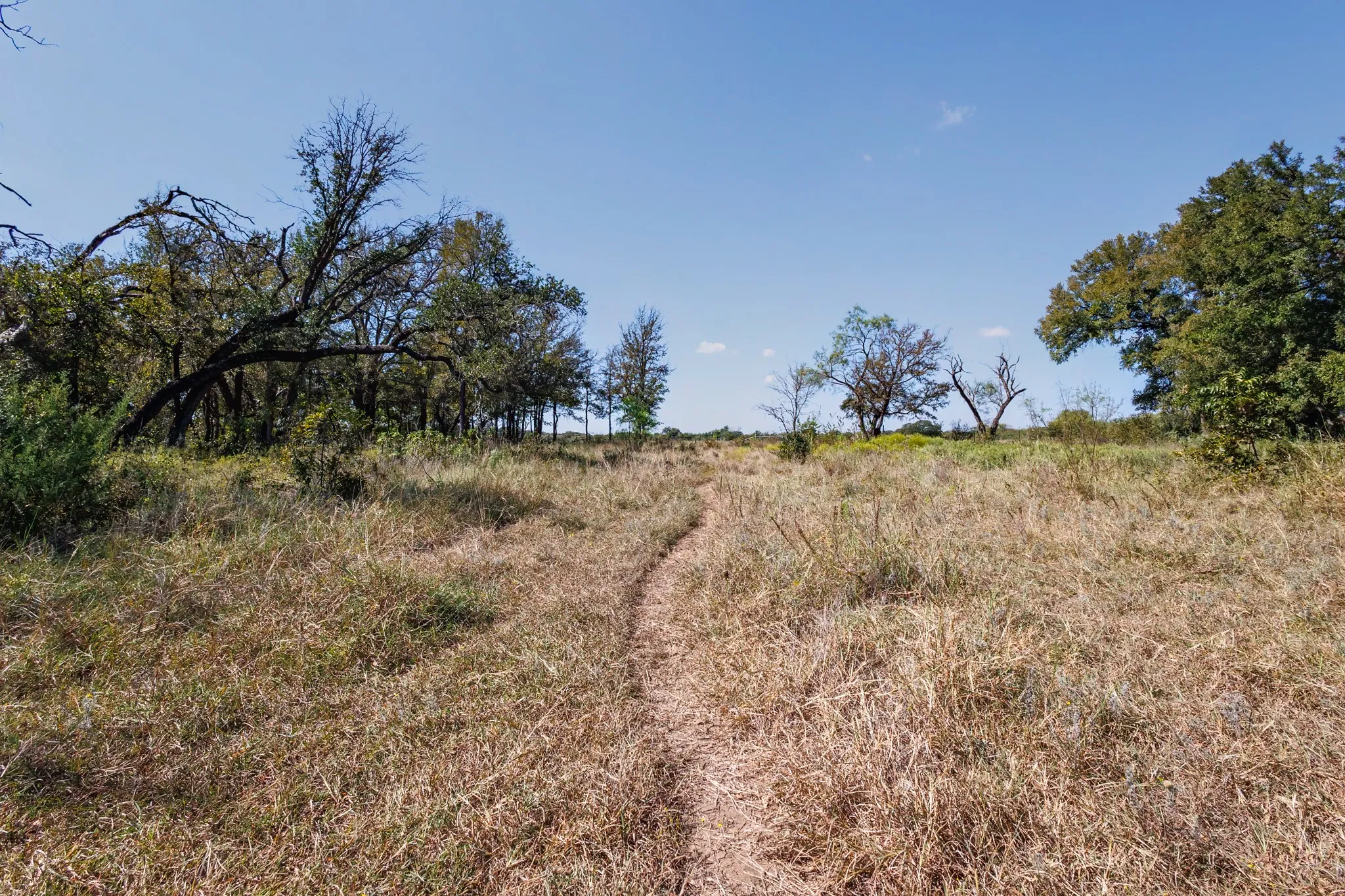 Unimproved Land For Sale in Comanche County , 342 Tatanka Trail, Gustine, Texas 76455, 0, 0, Garage spaces, 0 Sqft, built in 0, mls#21089443, Real Estate Agent in Gustine, Homes For Sale in Comanche county, Homes For Sale in Gustine, Realtor in Gustine Texas, Real Estate Brokerage Independent Realty Texas, Luminita Cordes Realtor