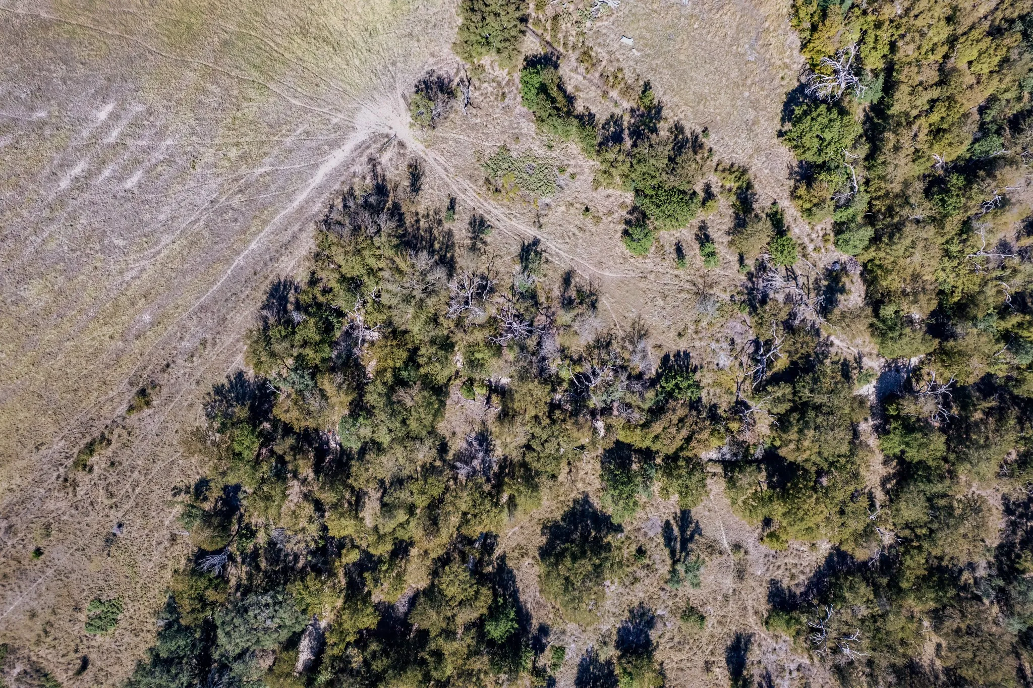 Unimproved Land For Sale in Comanche County , 342 Tatanka Trail, Gustine, Texas 76455, 0, 0, Garage spaces, 0 Sqft, built in 0, mls#21089443, Real Estate Agent in Gustine, Homes For Sale in Comanche county, Homes For Sale in Gustine, Realtor in Gustine Texas, Real Estate Brokerage Independent Realty Texas, Luminita Cordes Realtor