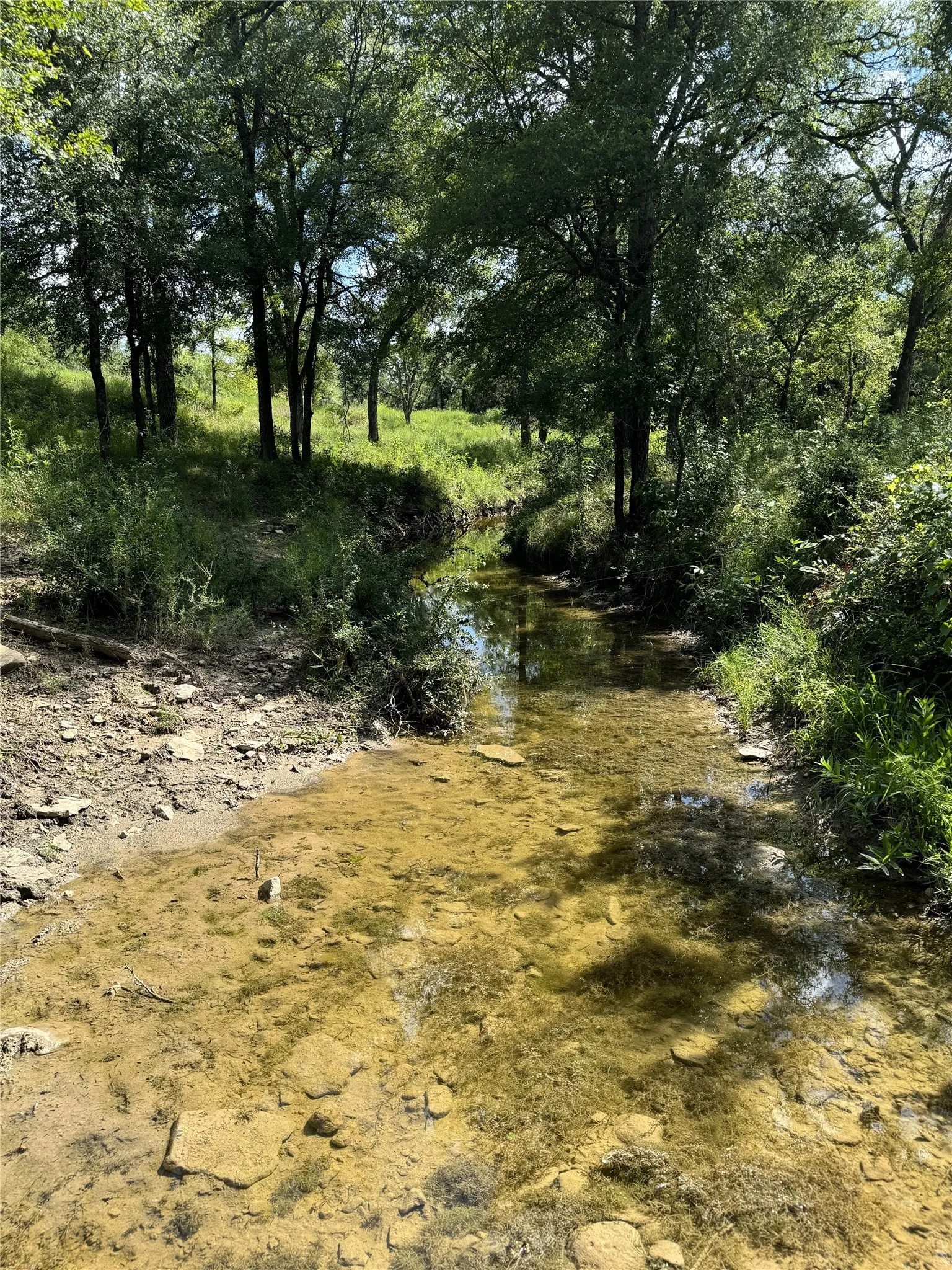 Unimproved Land For Sale in Comanche County , 342 Tatanka Trail, Gustine, Texas 76455, 0, 0, Garage spaces, 0 Sqft, built in 0, mls#21089443, Real Estate Agent in Gustine, Homes For Sale in Comanche county, Homes For Sale in Gustine, Realtor in Gustine Texas, Real Estate Brokerage Independent Realty Texas, Luminita Cordes Realtor
