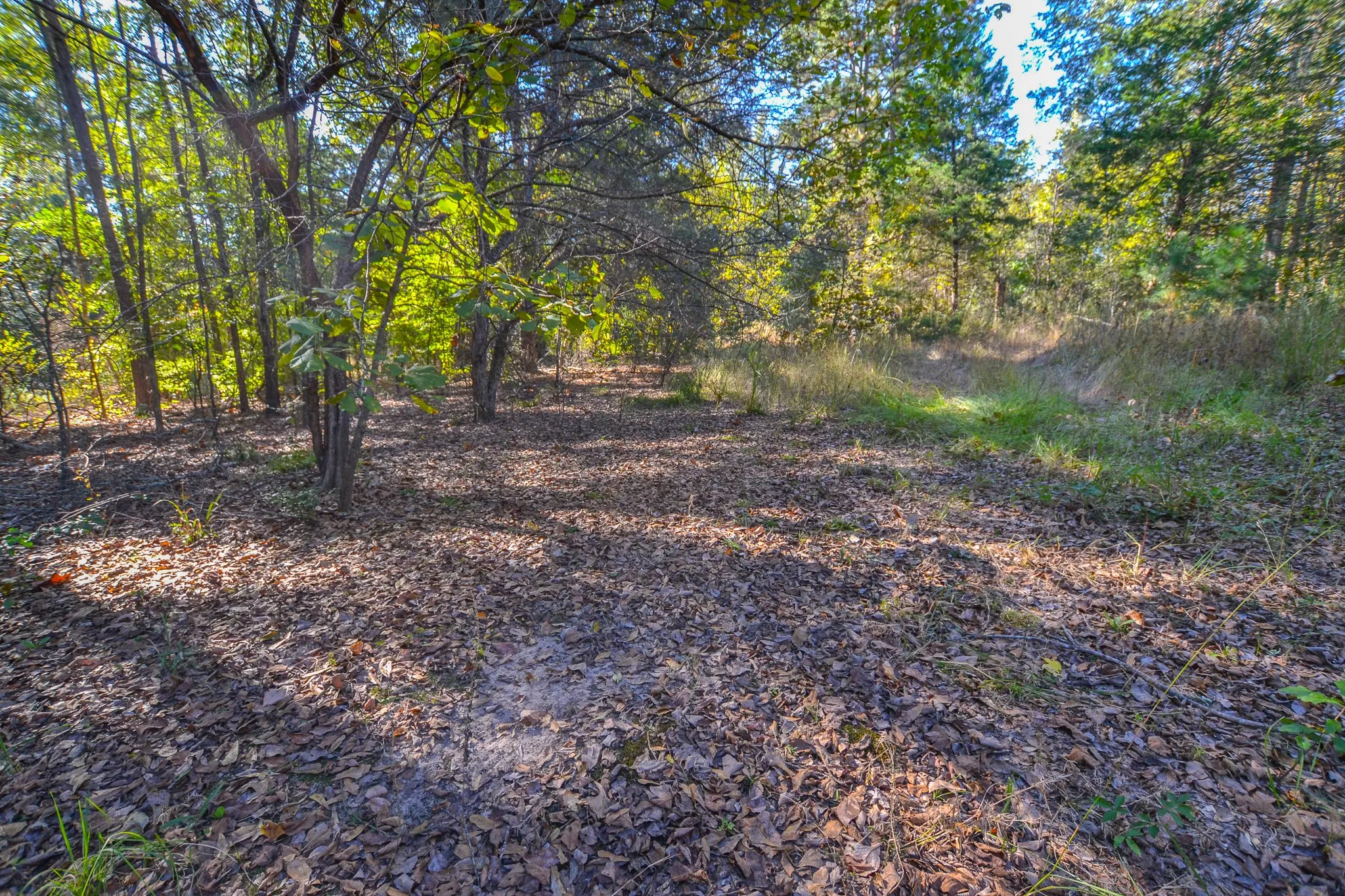 Mobile Home For Sale in Henderson County , 0 COUNTY ROAD 3409, Chandler, Texas 75758, 4 Bedrooms, 2 Bathrooms, Garage spaces, 2,250 Sqft, built in 2012, Price $699,400, mls#21094701, Real Estate Agent in Chandler, Homes For Sale in Henderson county, Homes For Sale in Chandler, Realtor in Chandler Texas, Real Estate Brokerage Independent Realty Texas, Luminita Cordes Realtor