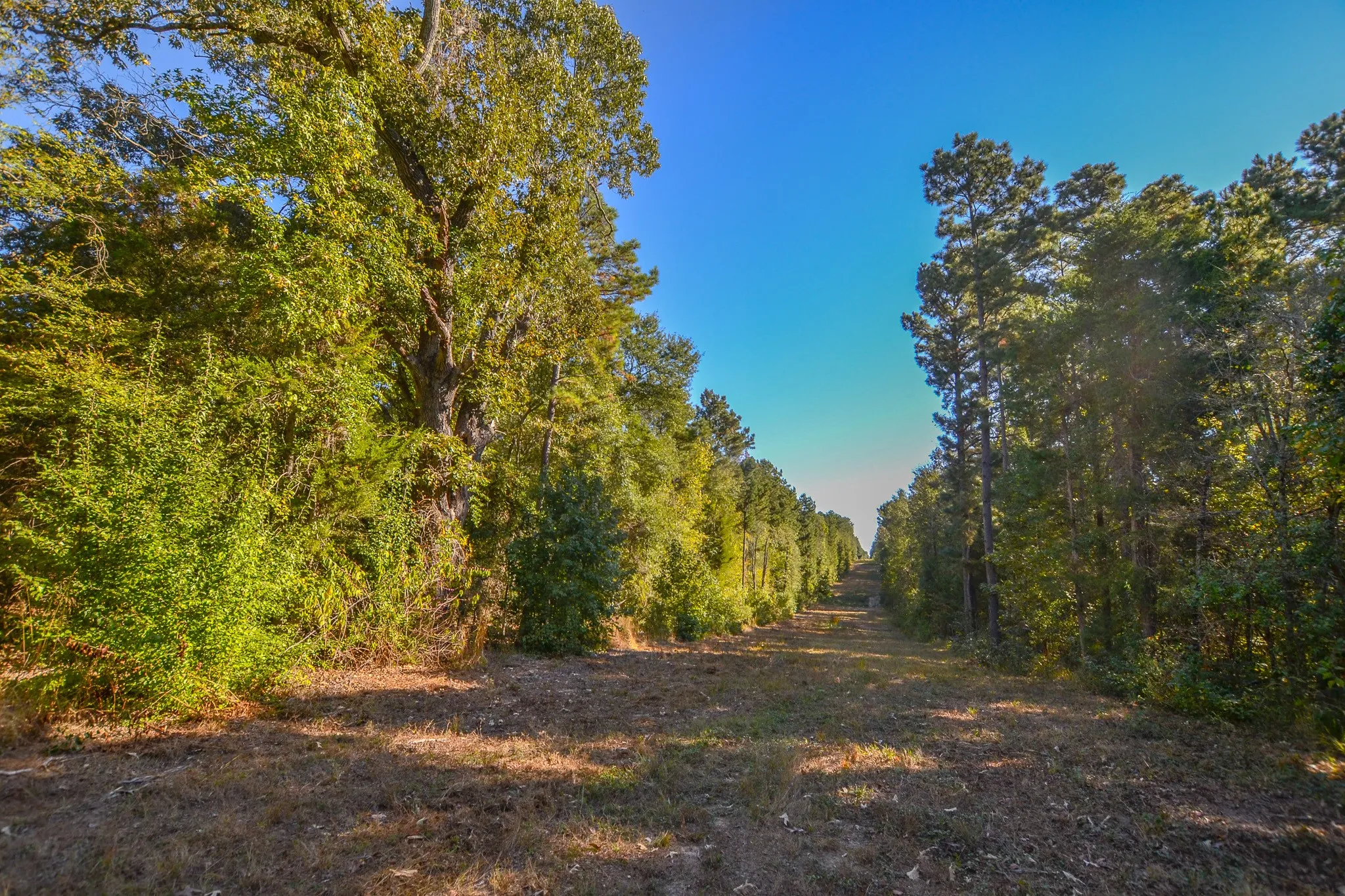 Mobile Home For Sale in Henderson County , 0 COUNTY ROAD 3409, Chandler, Texas 75758, 4 Bedrooms, 2 Bathrooms, Garage spaces, 2,250 Sqft, built in 2012, Price $699,400, mls#21094701, Real Estate Agent in Chandler, Homes For Sale in Henderson county, Homes For Sale in Chandler, Realtor in Chandler Texas, Real Estate Brokerage Independent Realty Texas, Luminita Cordes Realtor