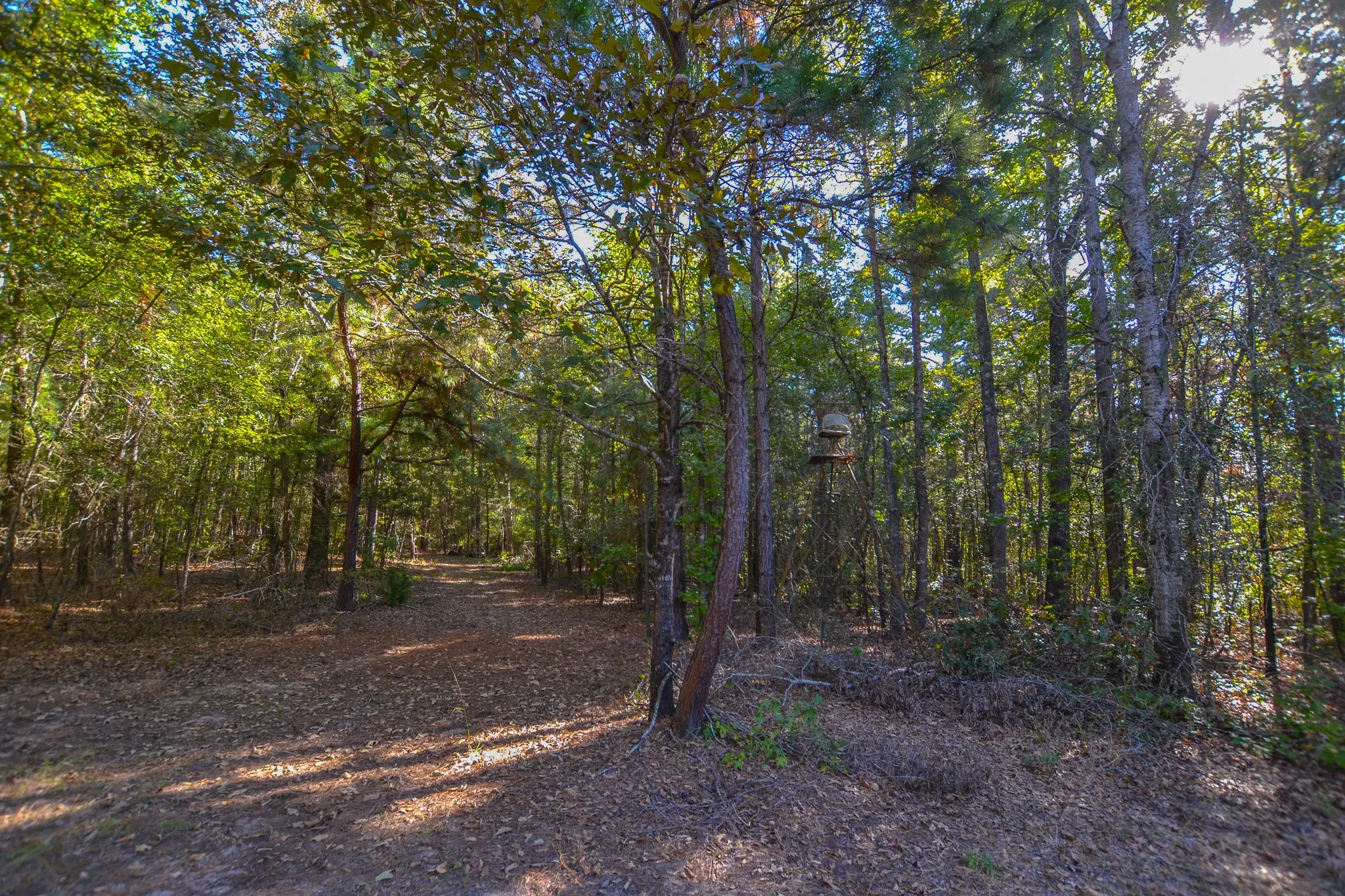 Mobile Home For Sale in Henderson County , 0 COUNTY ROAD 3409, Chandler, Texas 75758, 4 Bedrooms, 2 Bathrooms, Garage spaces, 2,250 Sqft, built in 2012, Price $699,400, mls#21094701, Real Estate Agent in Chandler, Homes For Sale in Henderson county, Homes For Sale in Chandler, Realtor in Chandler Texas, Real Estate Brokerage Independent Realty Texas, Luminita Cordes Realtor