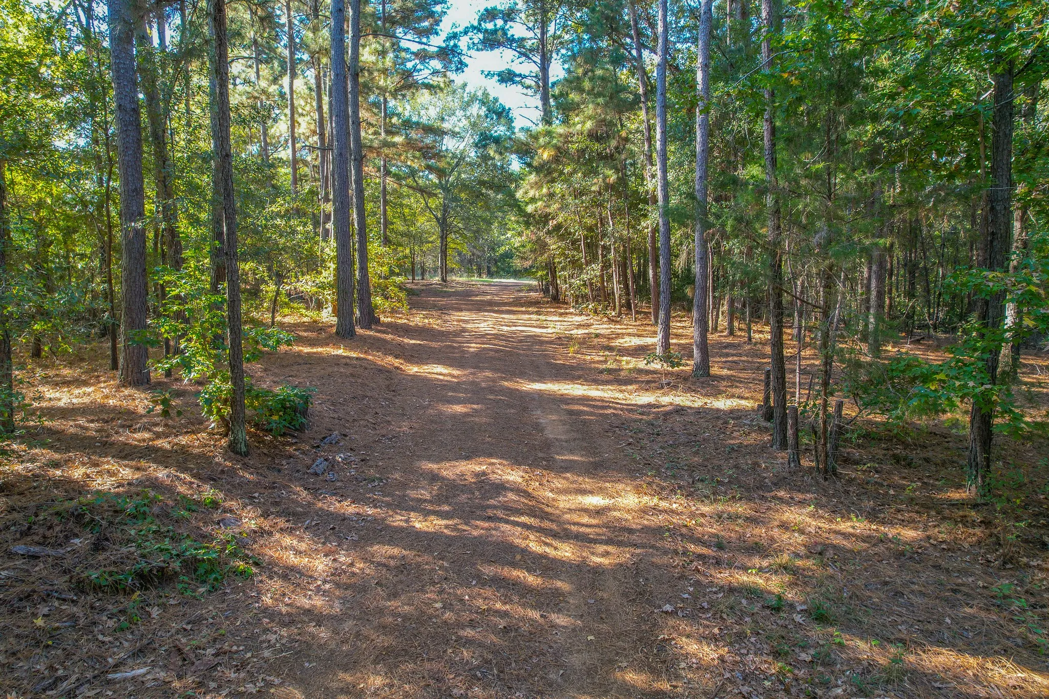 Mobile Home For Sale in Henderson County , 0 COUNTY ROAD 3409, Chandler, Texas 75758, 4 Bedrooms, 2 Bathrooms, Garage spaces, 2,250 Sqft, built in 2012, Price $699,400, mls#21094701, Real Estate Agent in Chandler, Homes For Sale in Henderson county, Homes For Sale in Chandler, Realtor in Chandler Texas, Real Estate Brokerage Independent Realty Texas, Luminita Cordes Realtor