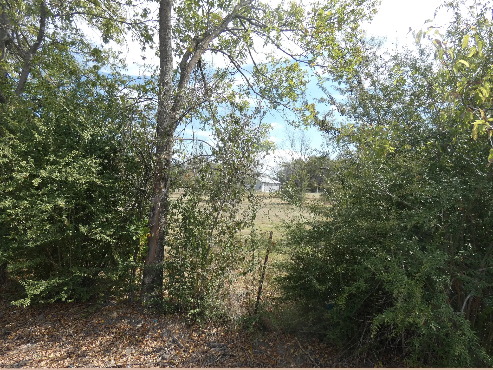 Unimproved Land For Sale in Kaufman County , 0 Hawkins, Terrell, Texas 75160, 0, 0, Garage spaces, 0 Sqft, built in 0, Price $43,000, mls#21090679, Real Estate Agent in Terrell, Homes For Sale in Kaufman county, Homes For Sale in Terrell, Realtor in Terrell Texas, Real Estate Brokerage Independent Realty Texas, Luminita Cordes Realtor