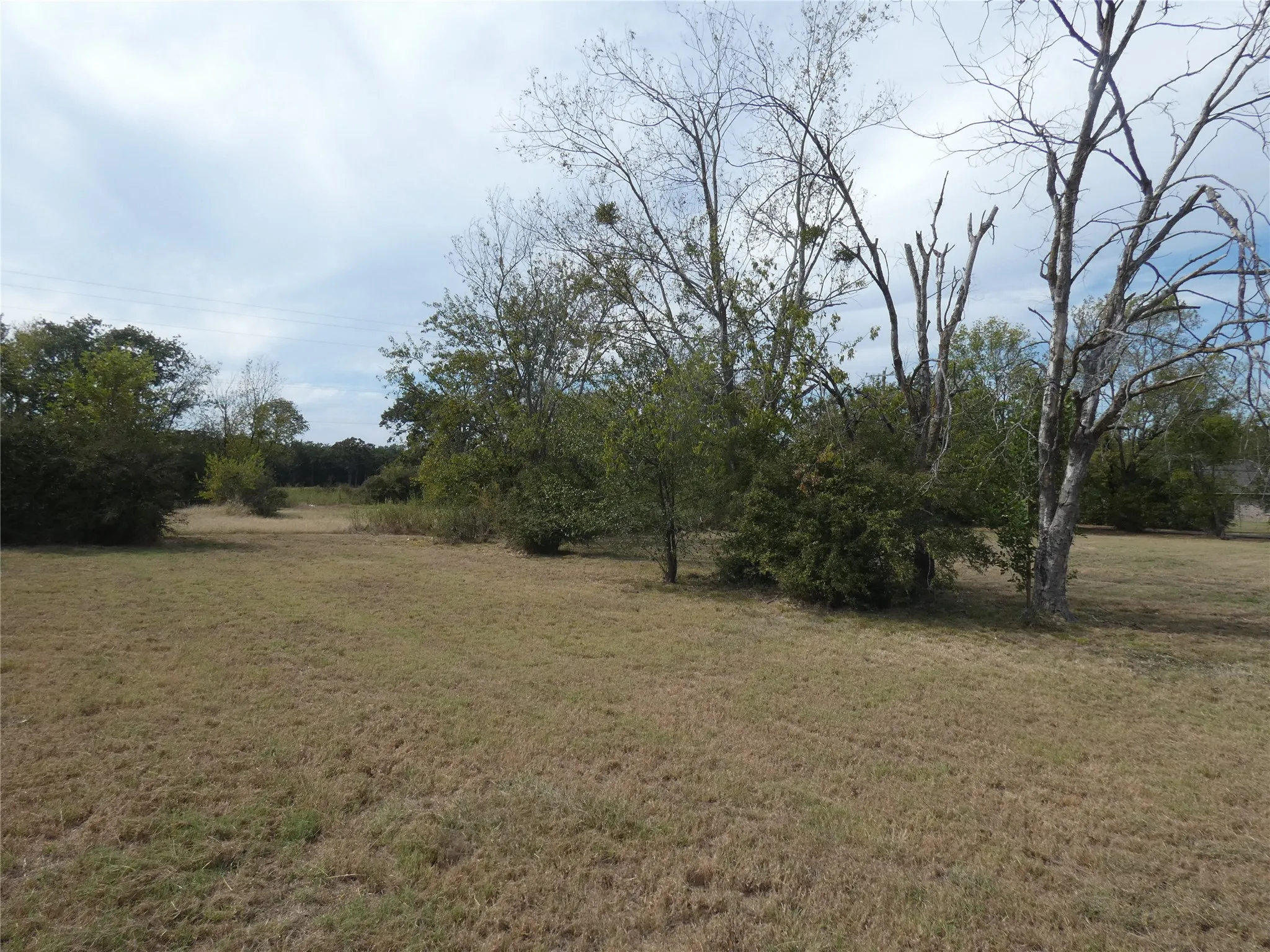 Unimproved Land For Sale in Kaufman County , 0 Hawkins, Terrell, Texas 75160, 0, 0, Garage spaces, 0 Sqft, built in 0, Price $43,000, mls#21090679, Real Estate Agent in Terrell, Homes For Sale in Kaufman county, Homes For Sale in Terrell, Realtor in Terrell Texas, Real Estate Brokerage Independent Realty Texas, Luminita Cordes Realtor