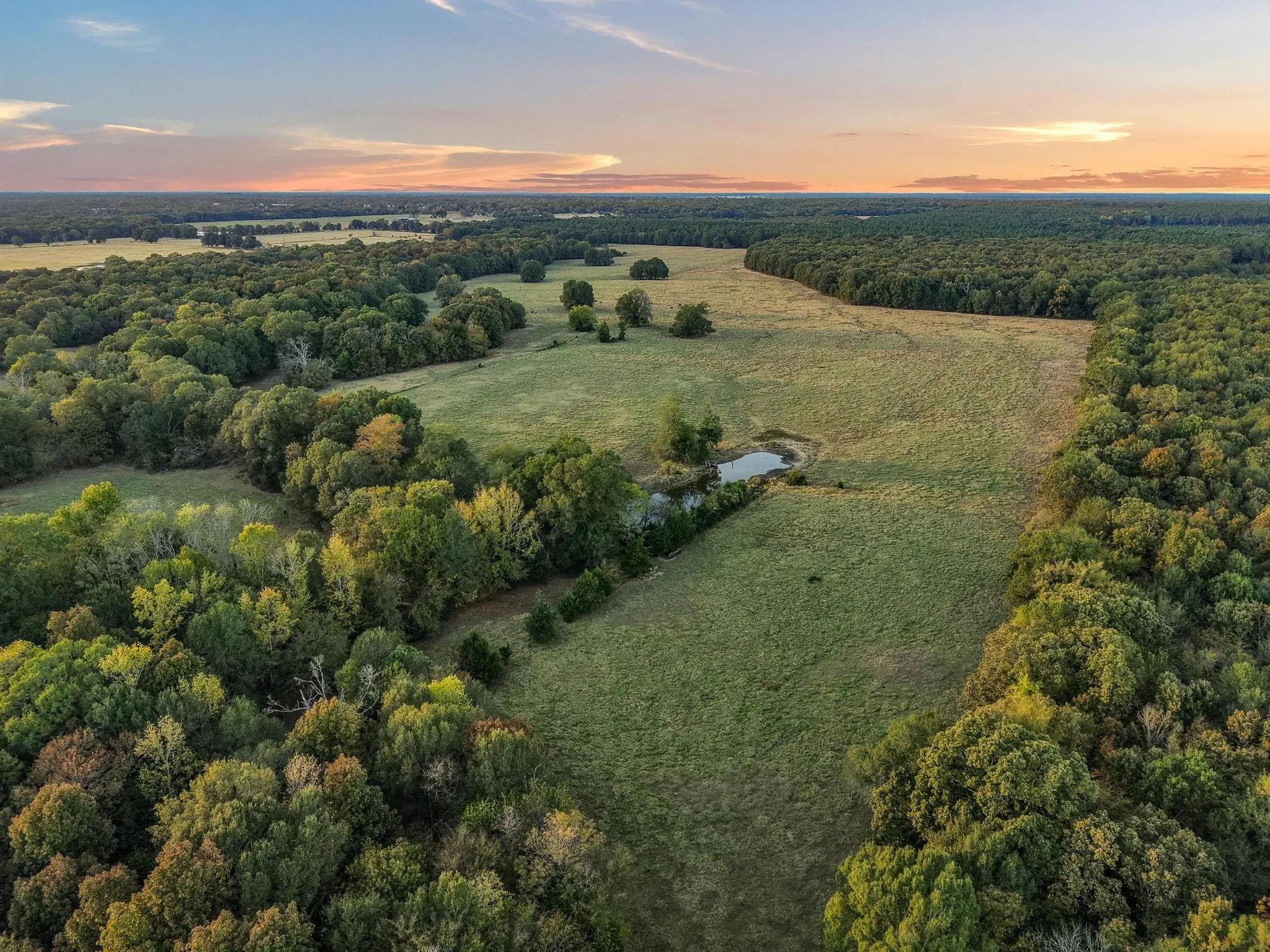 Ranch For Sale in Red River (TX) County , 312 County Road 2100, Detroit, Texas 75436, 0, 0, Garage spaces, 0 Sqft, built in 2012, Price $1,395,000, mls#21088590, Real Estate Agent in Detroit, Homes For Sale in Red River (TX) county, Homes For Sale in Detroit, Realtor in Detroit Texas, Real Estate Brokerage Independent Realty Texas, Luminita Cordes Realtor