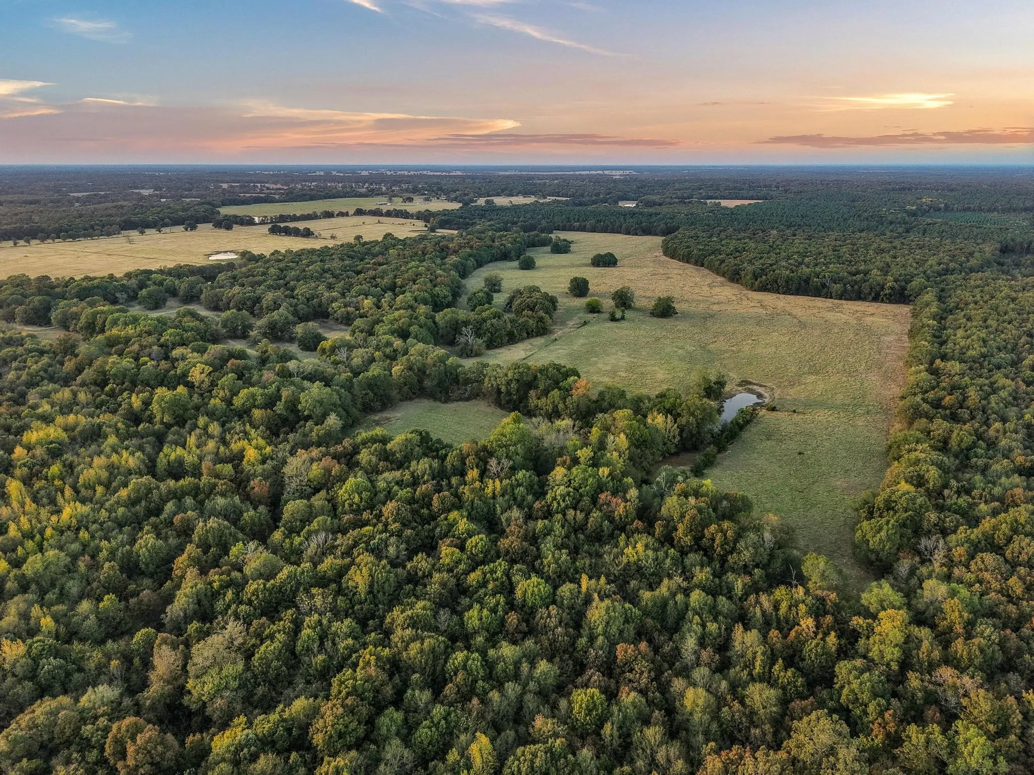 Ranch For Sale in Red River (TX) County , 312 County Road 2100, Detroit, Texas 75436, 0, 0, Garage spaces, 0 Sqft, built in 2012, Price $1,395,000, mls#21088590, Real Estate Agent in Detroit, Homes For Sale in Red River (TX) county, Homes For Sale in Detroit, Realtor in Detroit Texas, Real Estate Brokerage Independent Realty Texas, Luminita Cordes Realtor