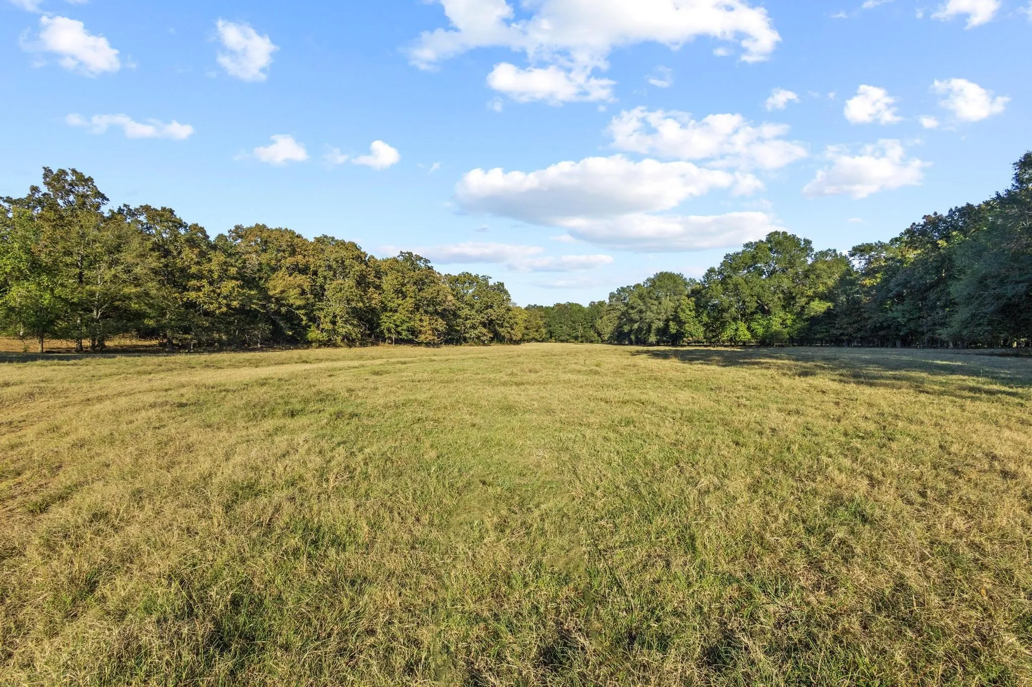 Ranch For Sale in Red River (TX) County , 312 County Road 2100, Detroit, Texas 75436, 0, 0, Garage spaces, 0 Sqft, built in 2012, Price $1,395,000, mls#21088590, Real Estate Agent in Detroit, Homes For Sale in Red River (TX) county, Homes For Sale in Detroit, Realtor in Detroit Texas, Real Estate Brokerage Independent Realty Texas, Luminita Cordes Realtor
