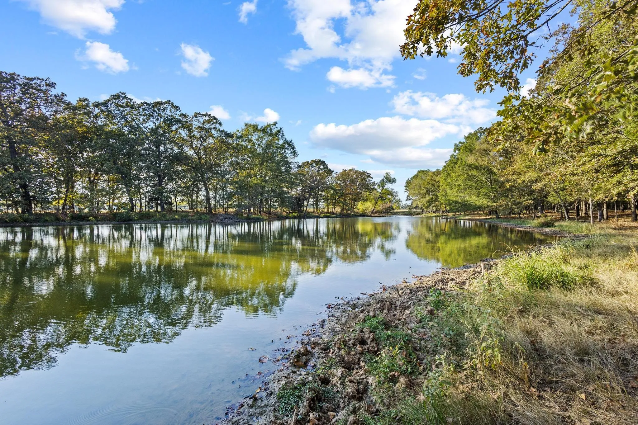 Ranch For Sale in Red River (TX) County , 312 County Road 2100, Detroit, Texas 75436, 0, 0, Garage spaces, 0 Sqft, built in 2012, Price $1,395,000, mls#21088590, Real Estate Agent in Detroit, Homes For Sale in Red River (TX) county, Homes For Sale in Detroit, Realtor in Detroit Texas, Real Estate Brokerage Independent Realty Texas, Luminita Cordes Realtor